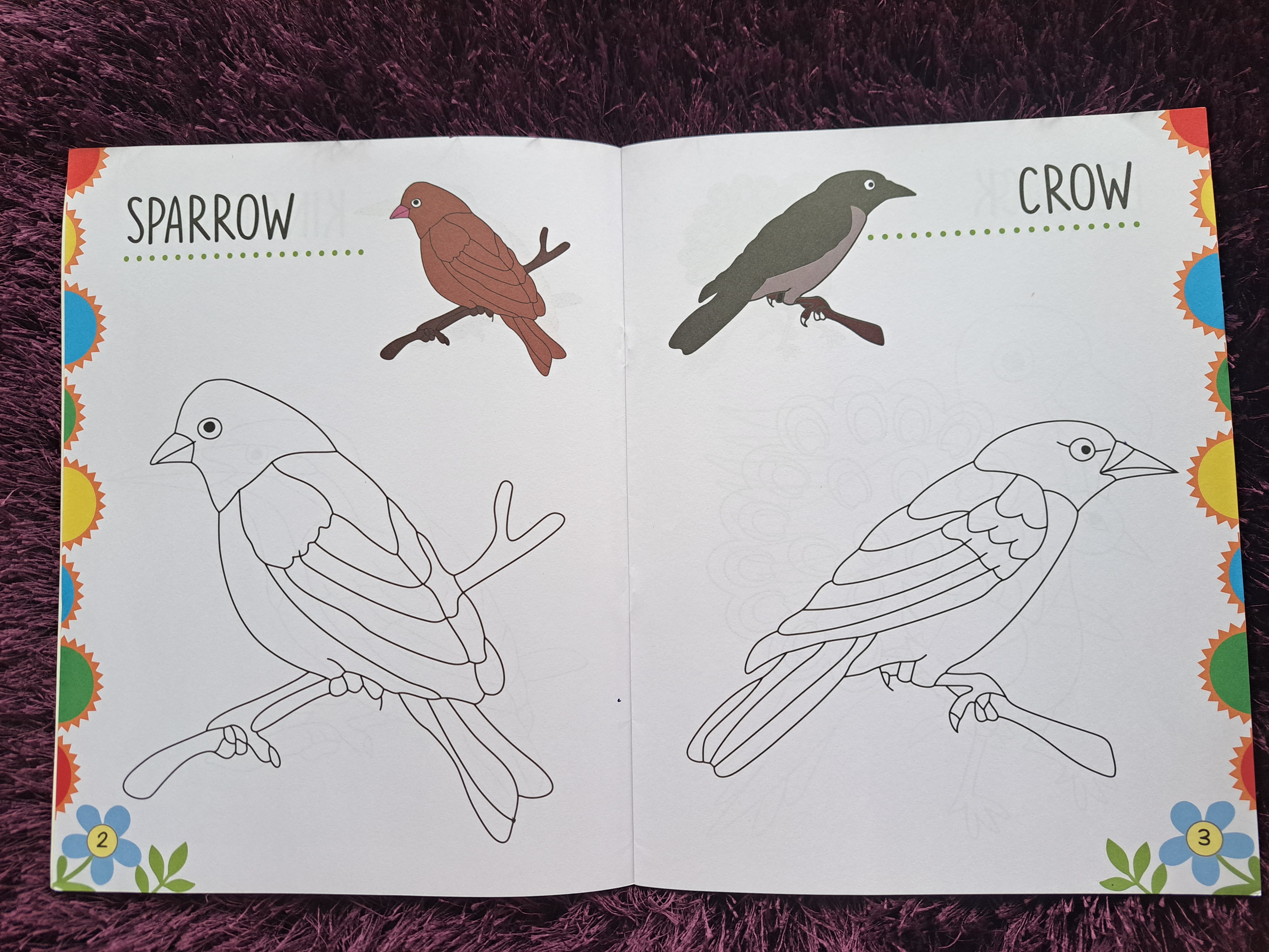 My First Colouring Book: Birds