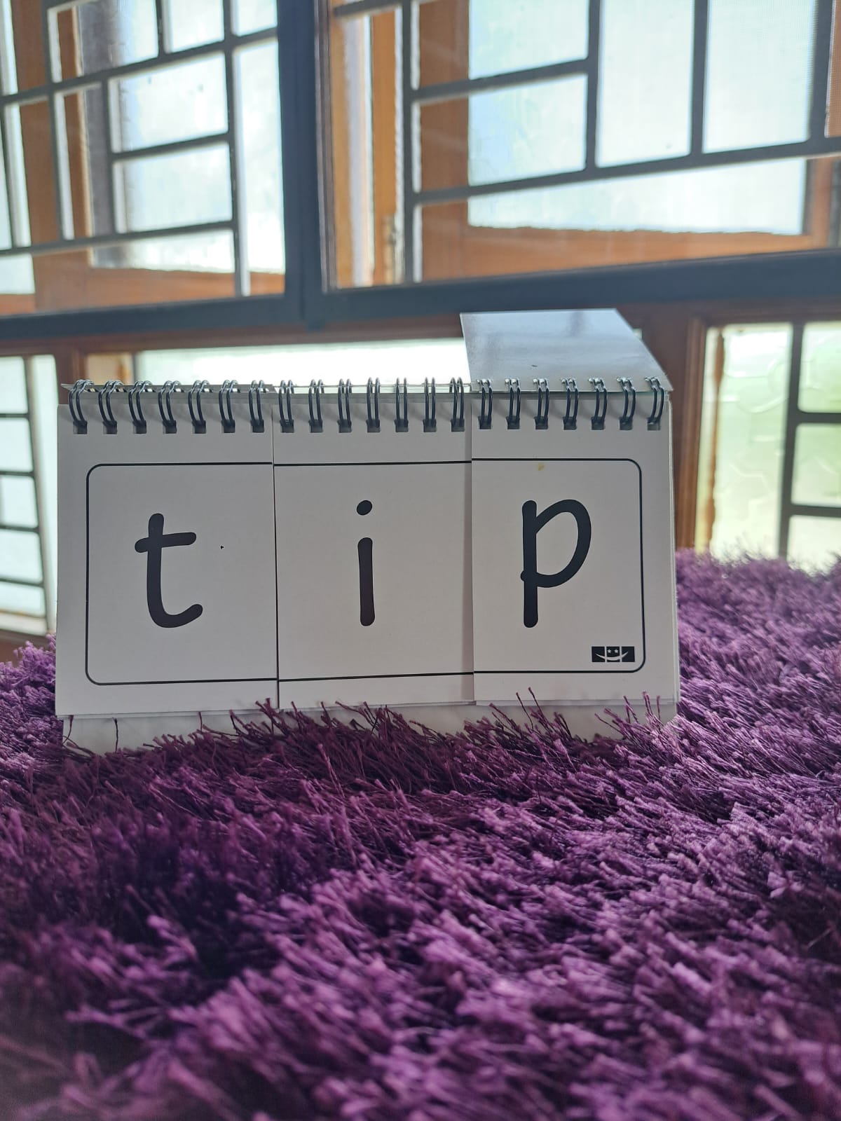 Flip to Read Level 1