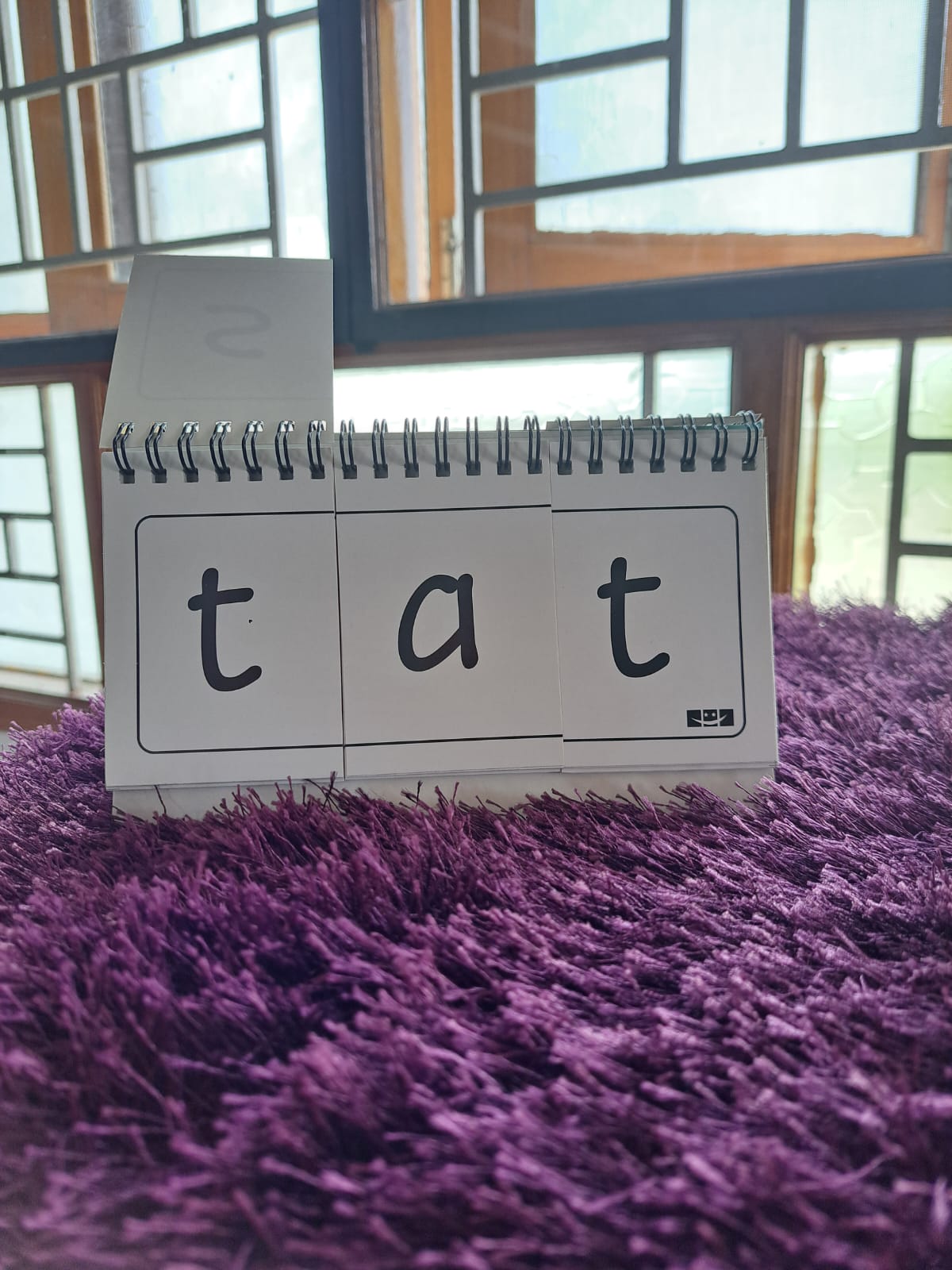 Flip to Read Level 1