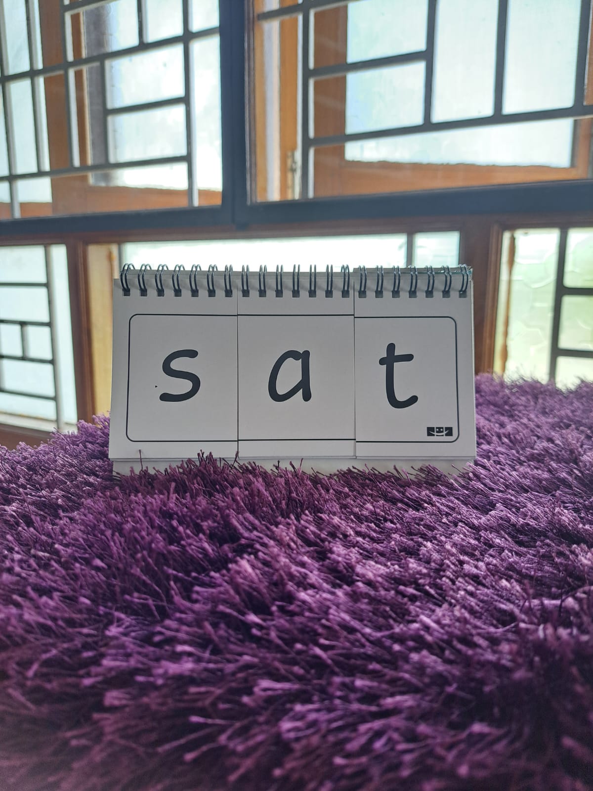 Flip to Read Level 1