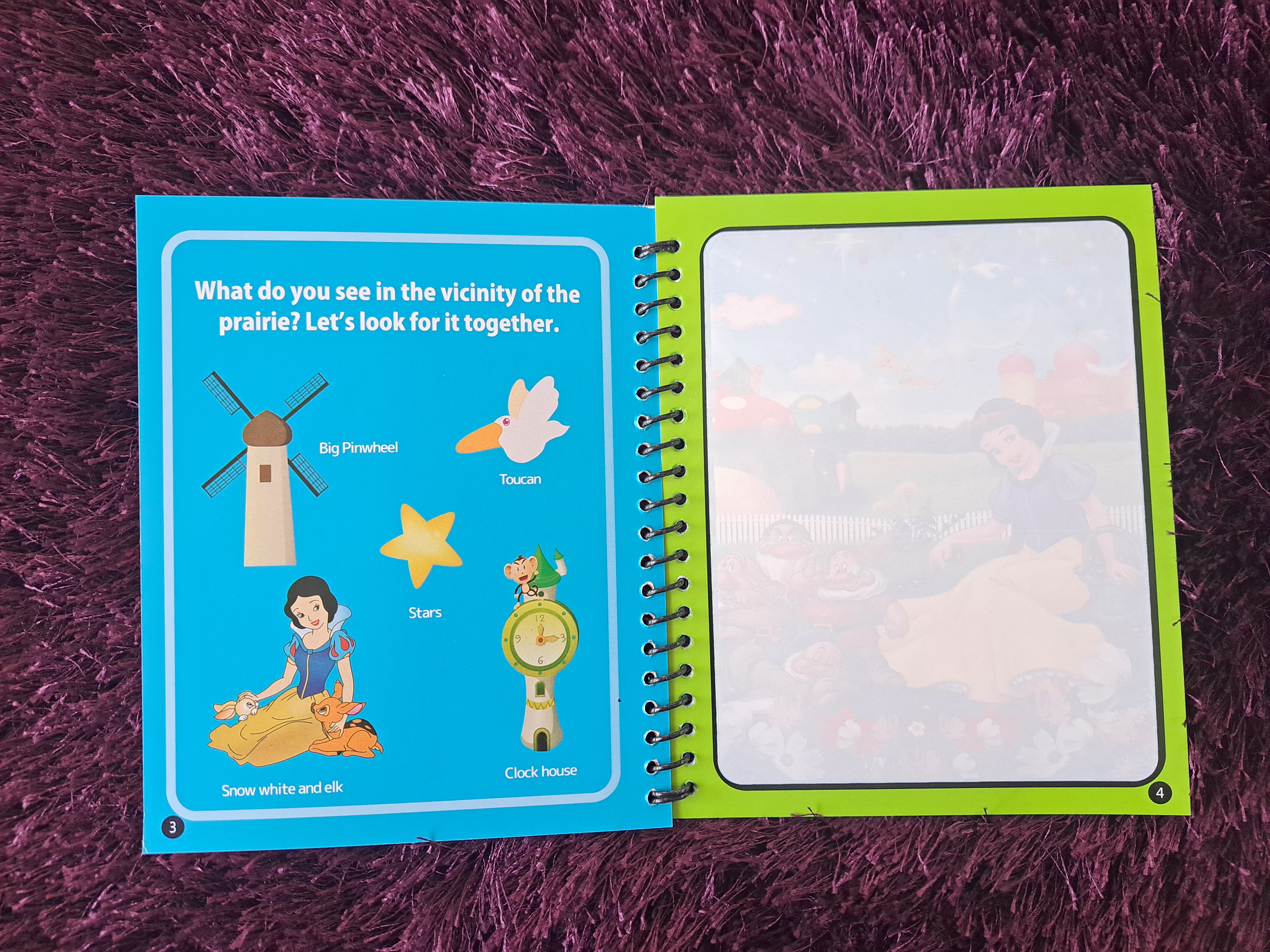 Magic Water Book - Disney princess