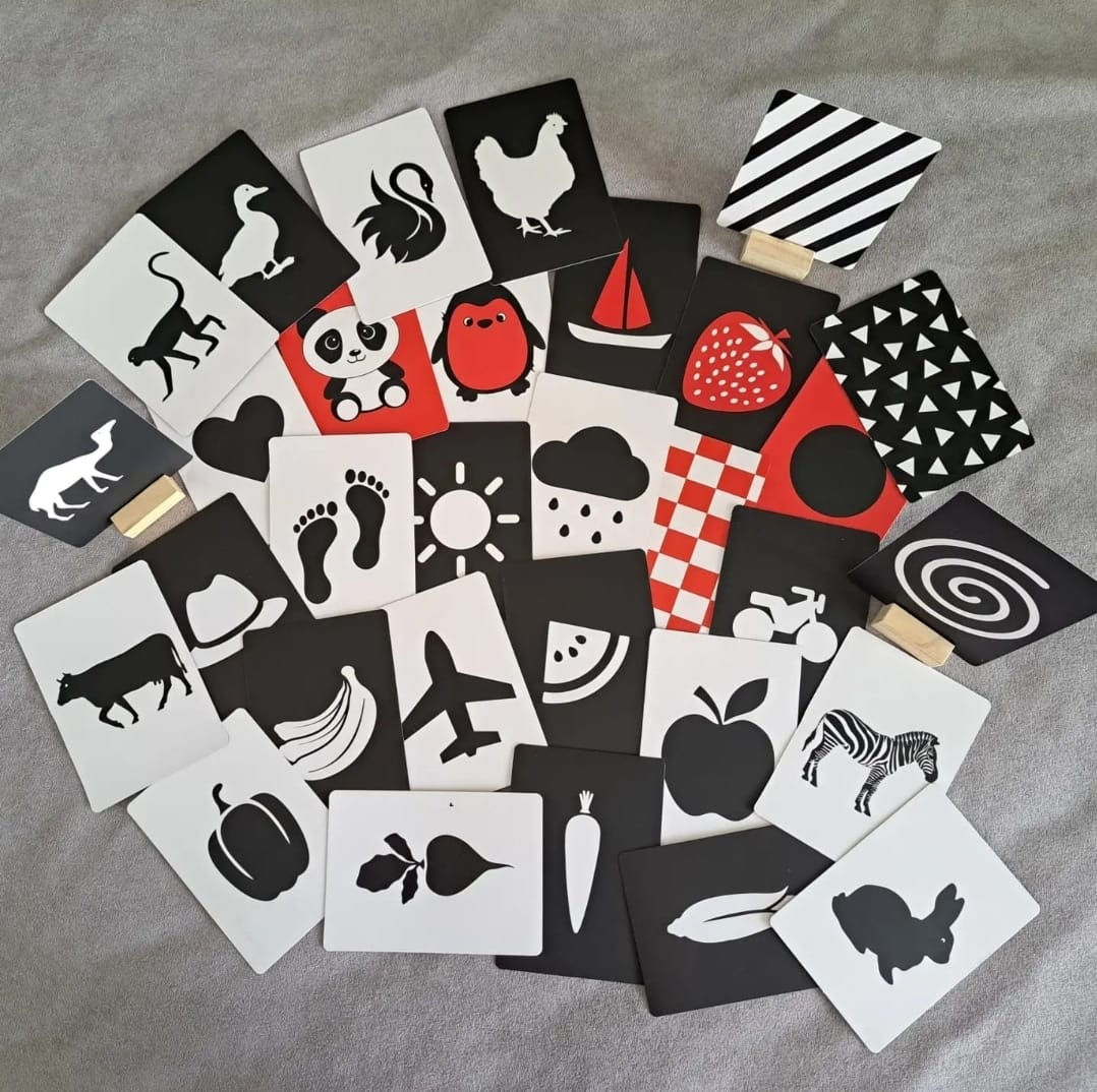 New Born Flashcards With 3 Wooden Blocks 