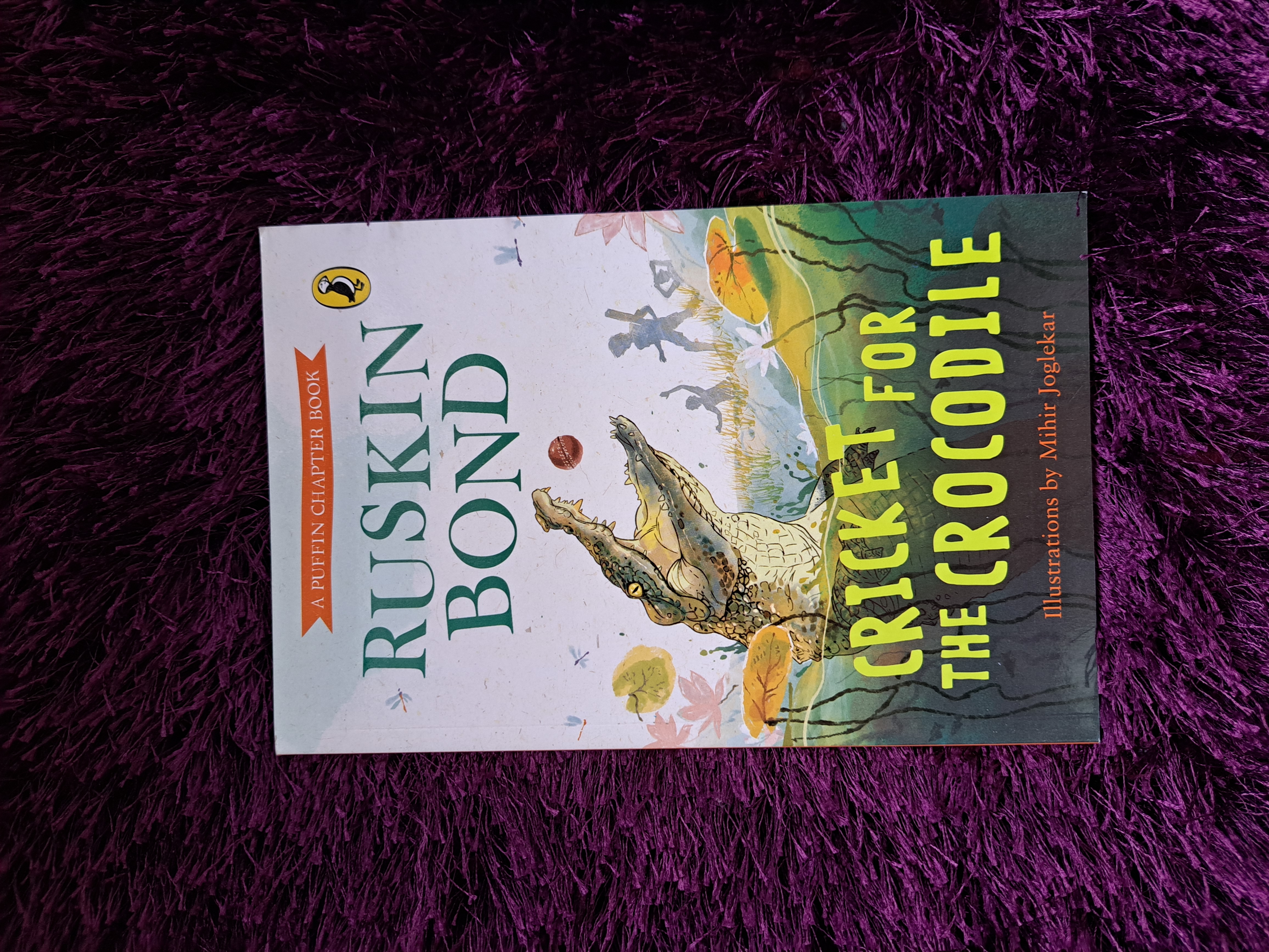 Cricket for the Crocodile