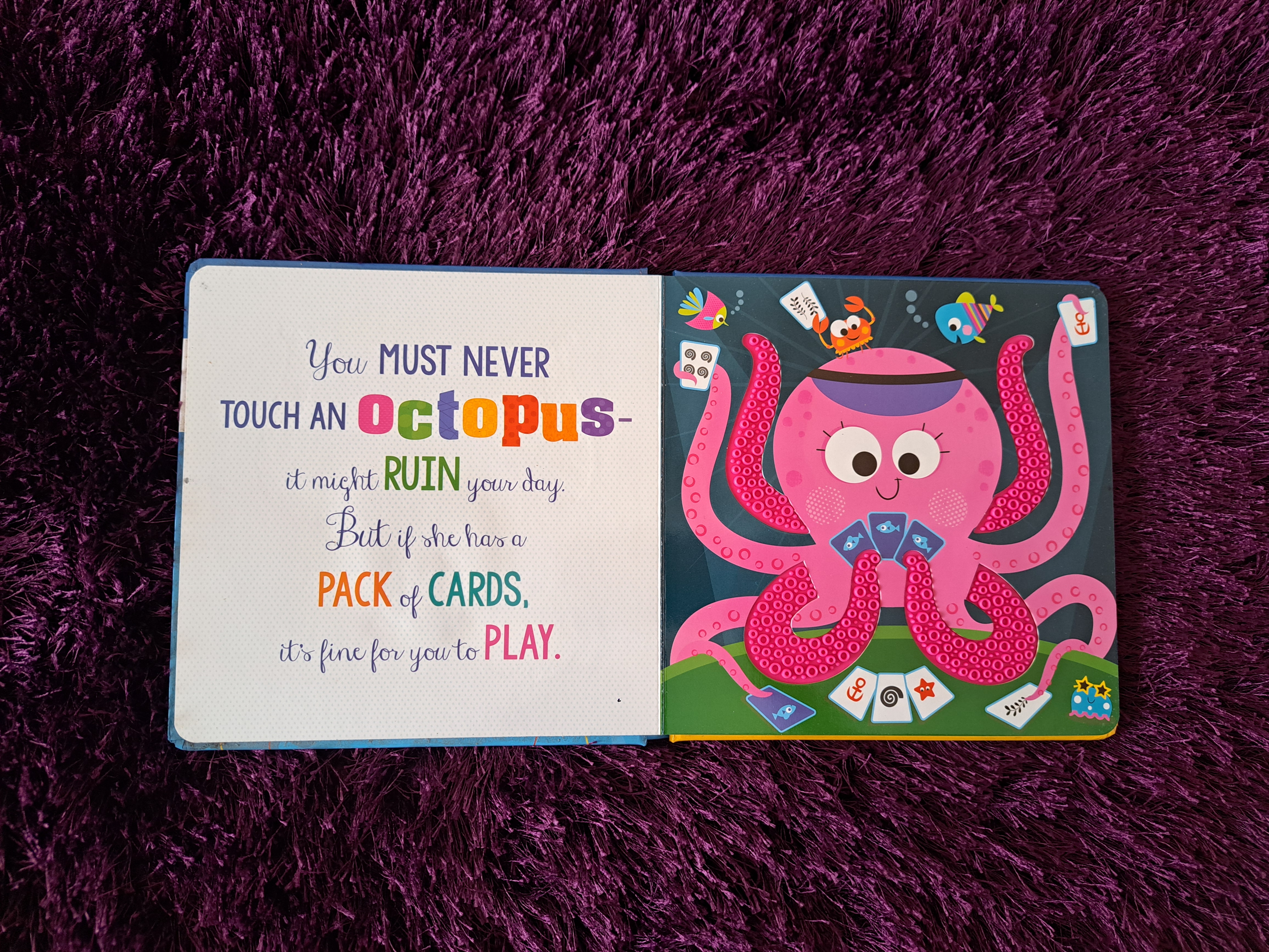 Never Touch a Shark!