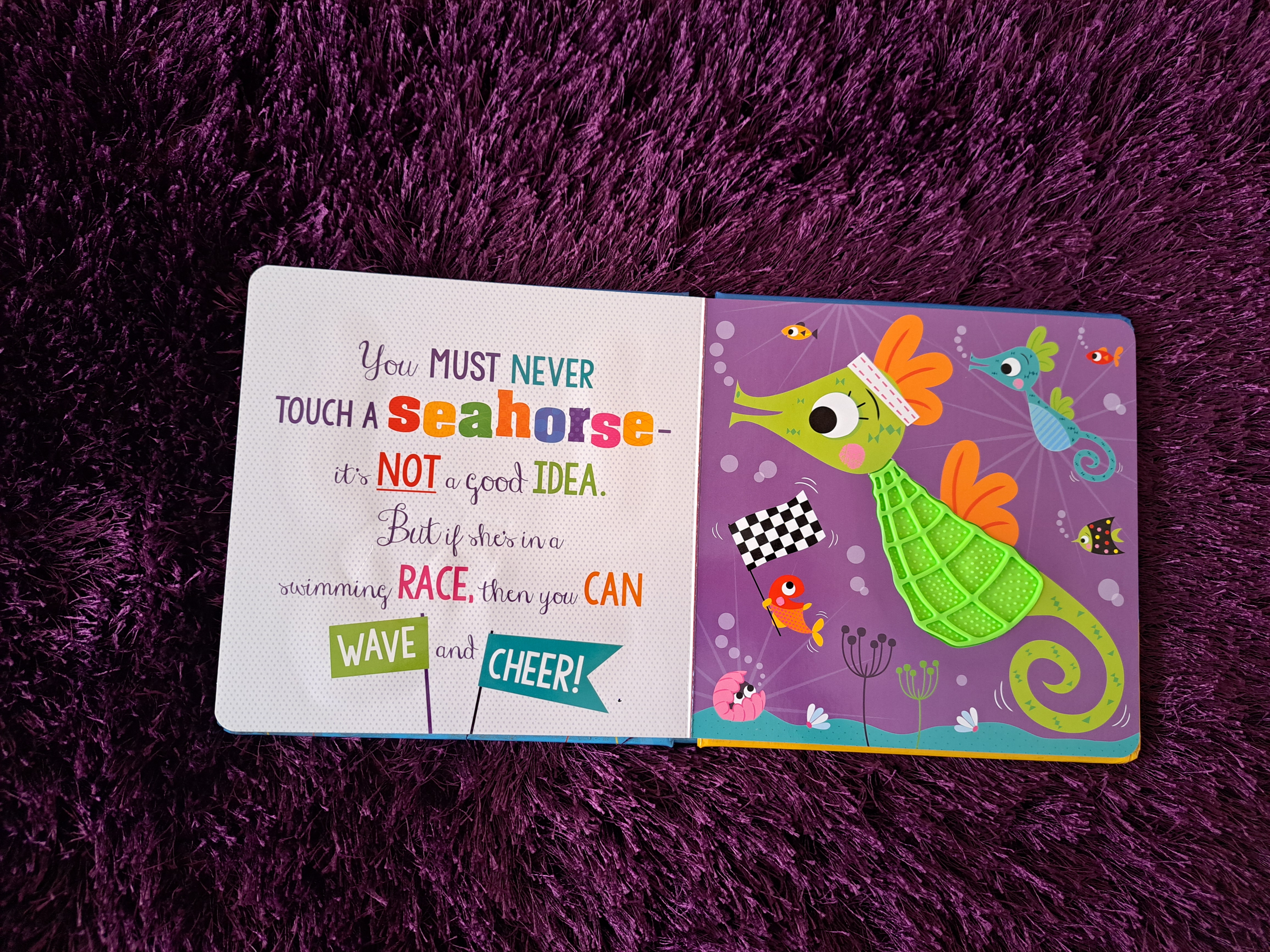 Never Touch a Shark!