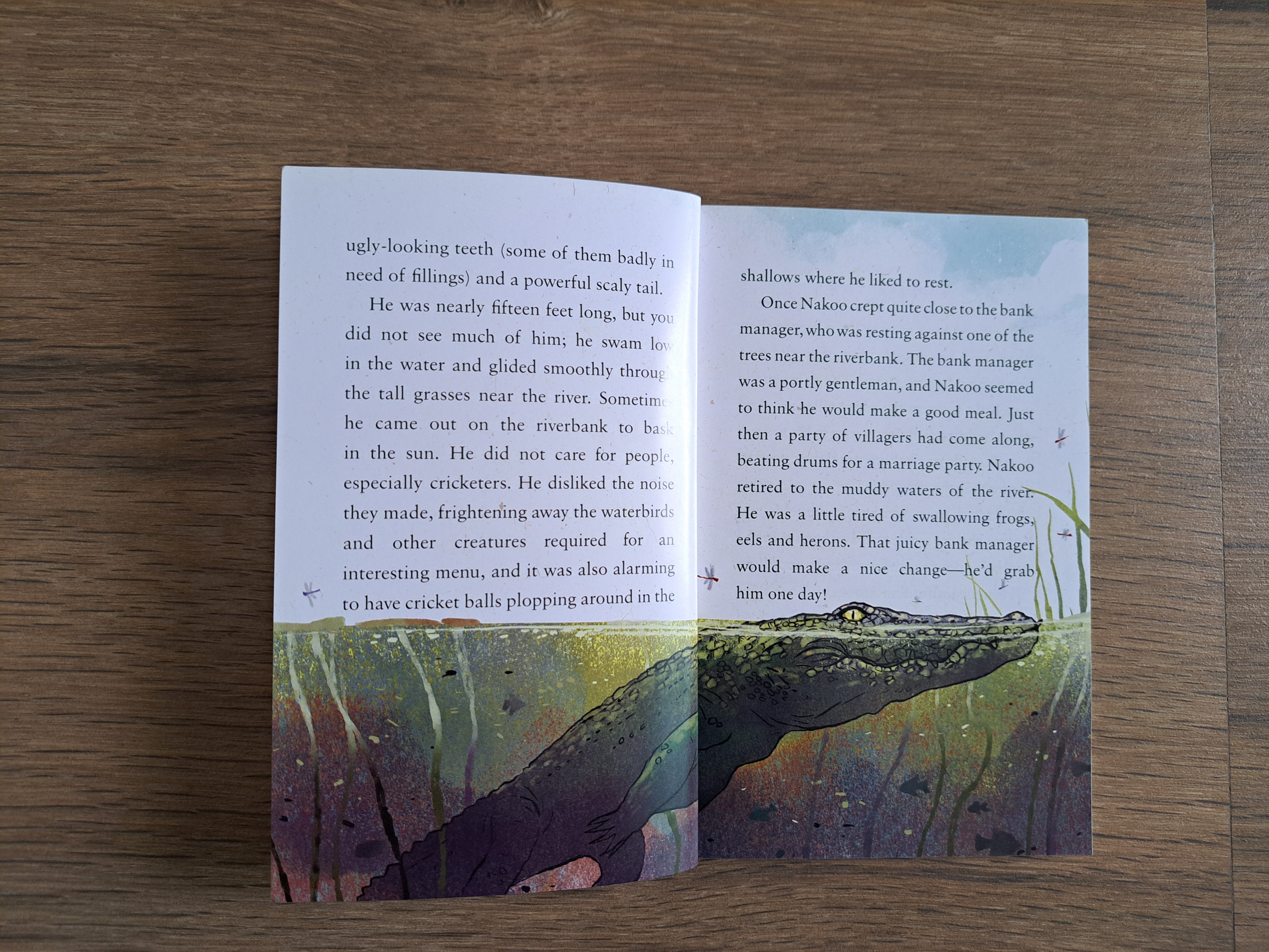 Cricket for the Crocodile