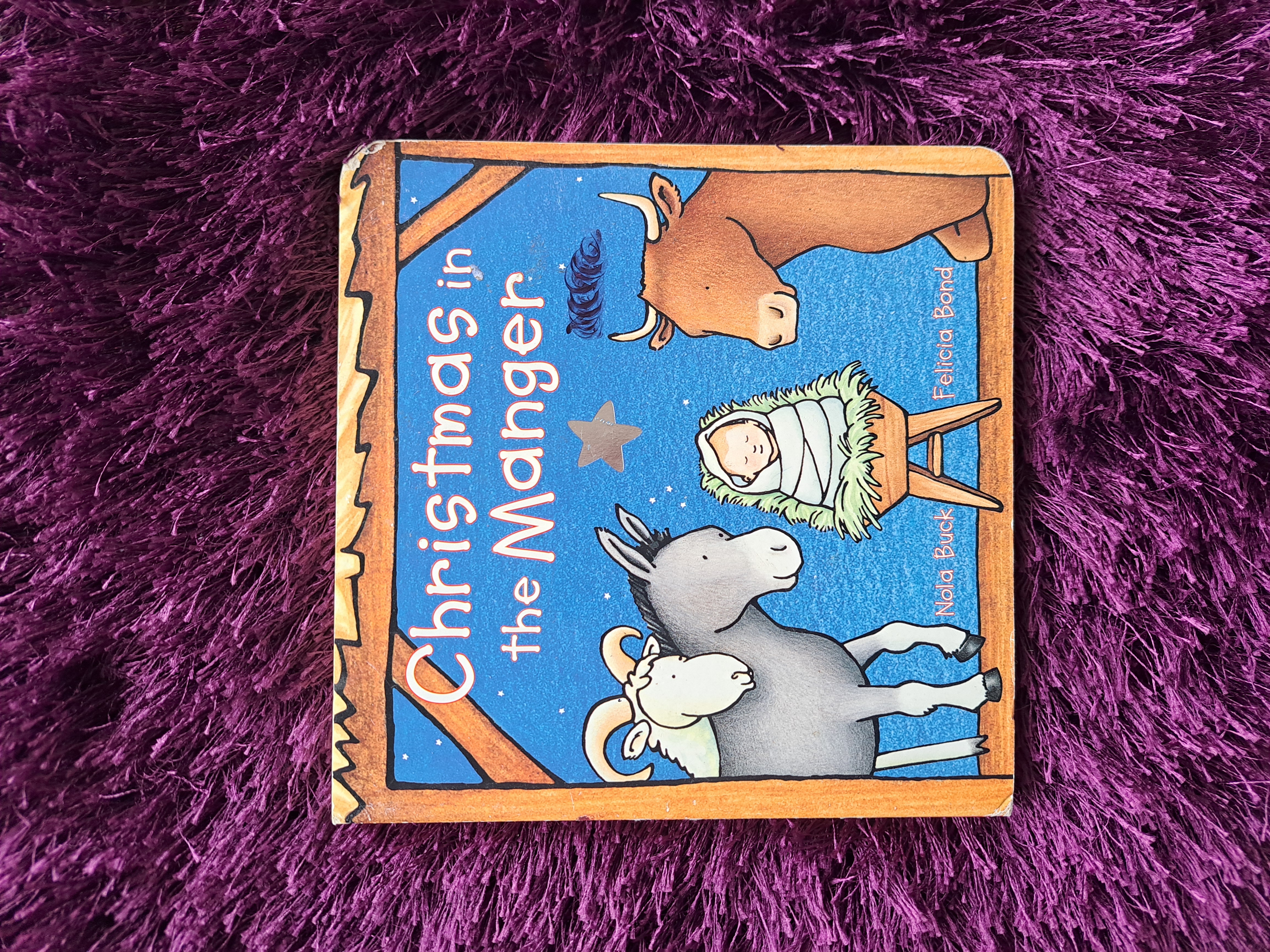 Christmas in the Manger