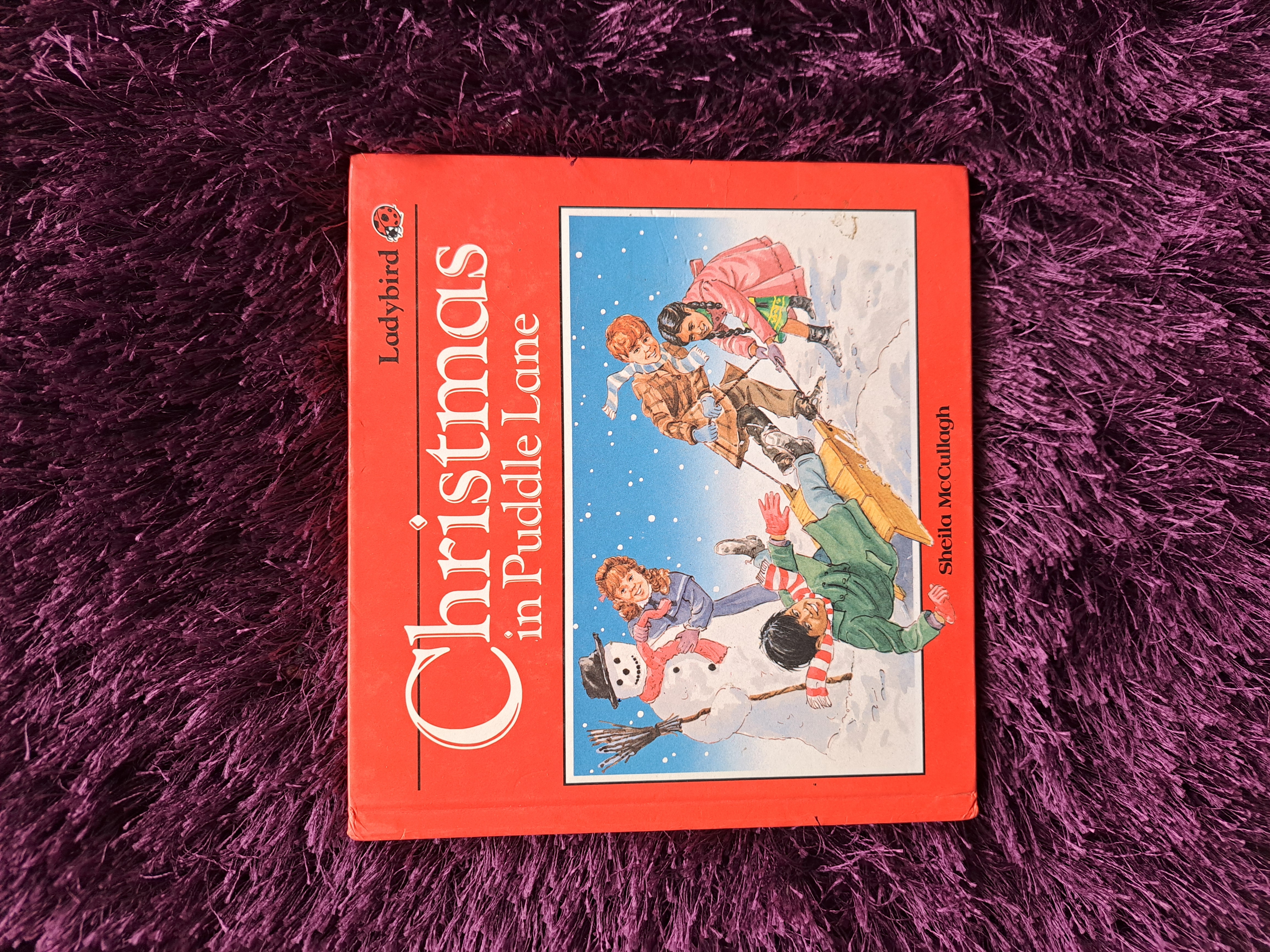 Christmas in Puddle Lane