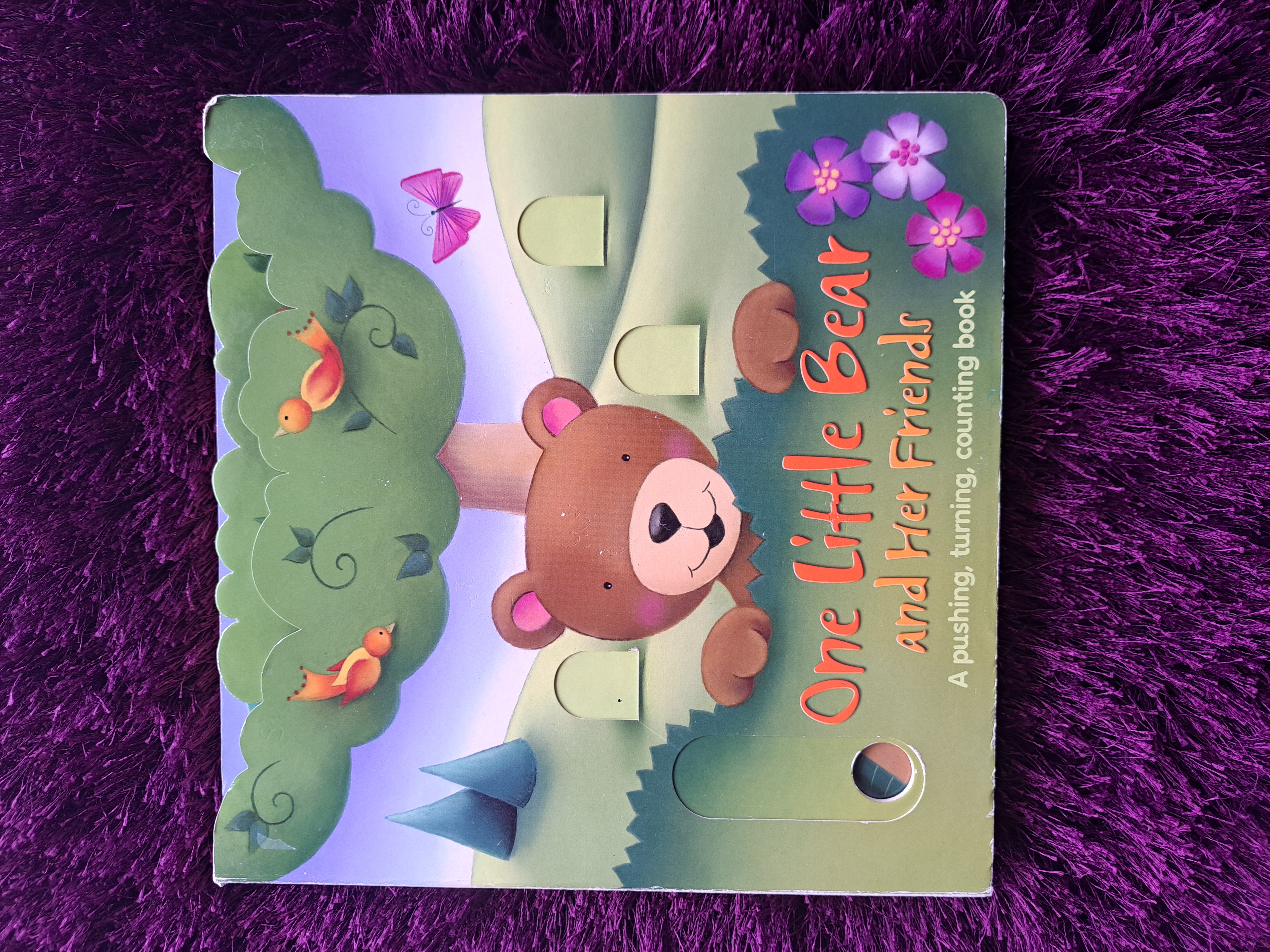 One Little Bear and Her Friends