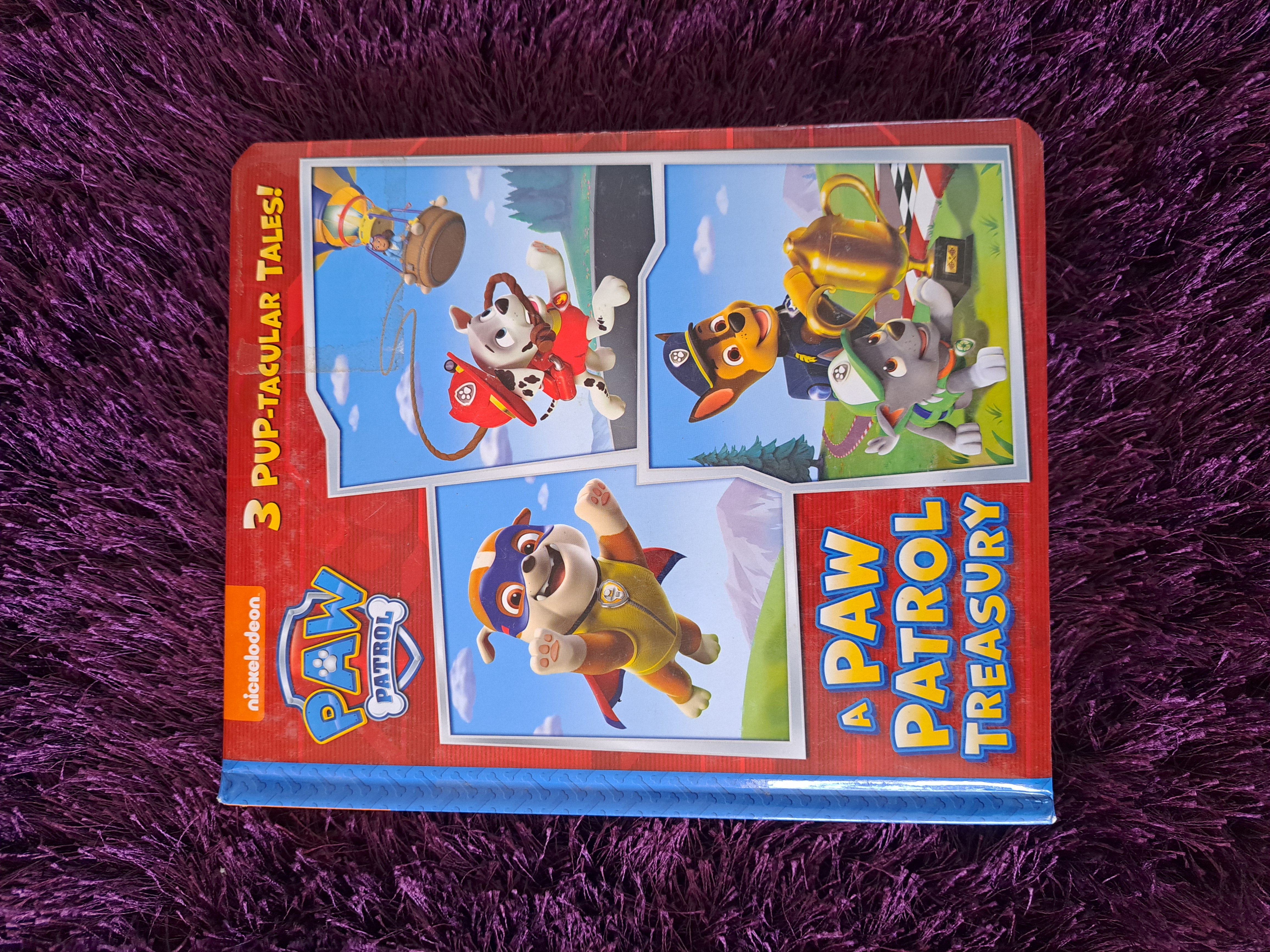 A PAW Patrol Treasury