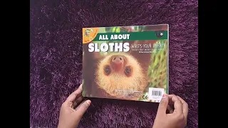 Sloth Sees the World 