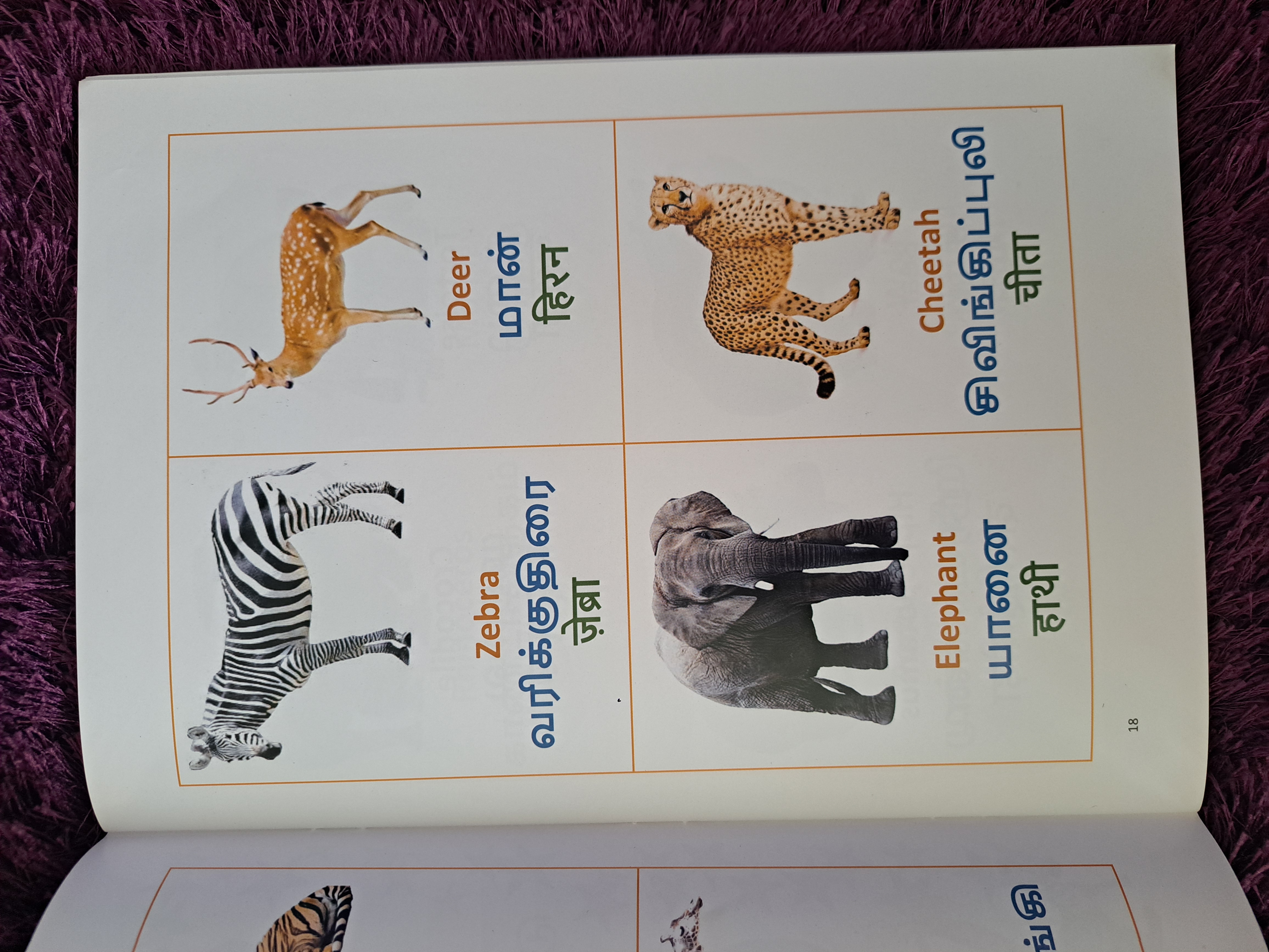 Tri-Lingual Learning Book