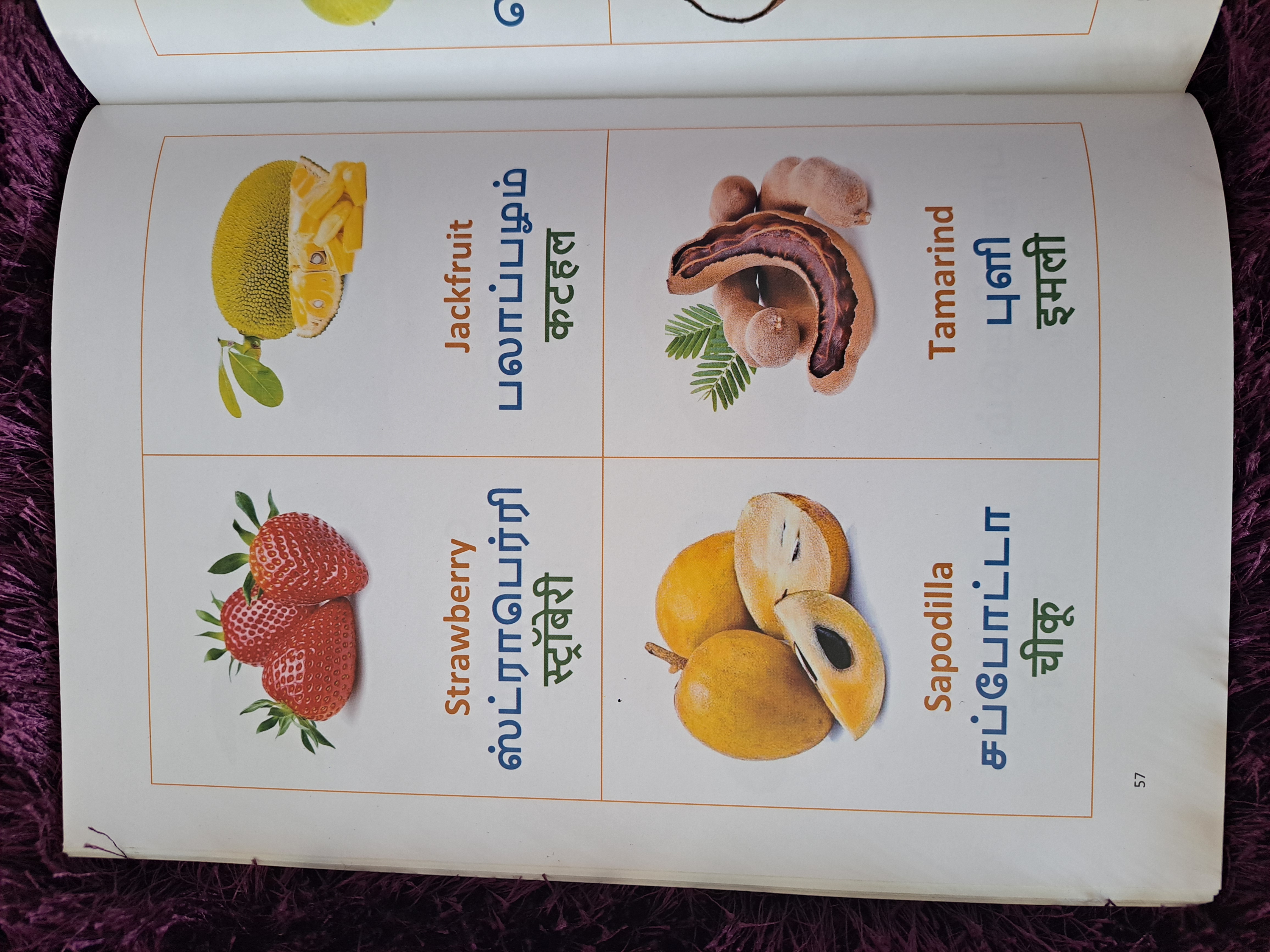 Tri-Lingual Learning Book