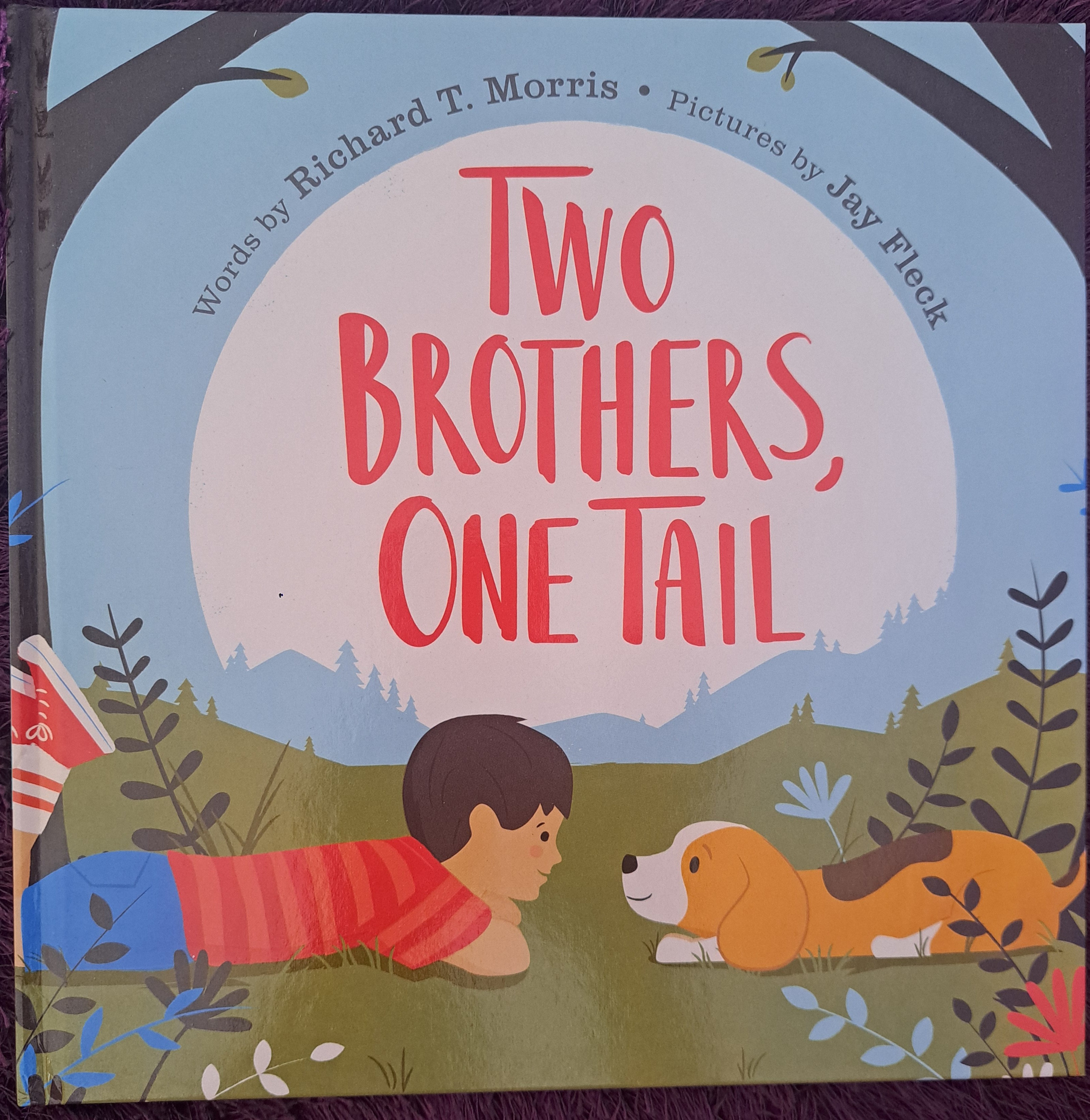 Two Brothers, One Tail