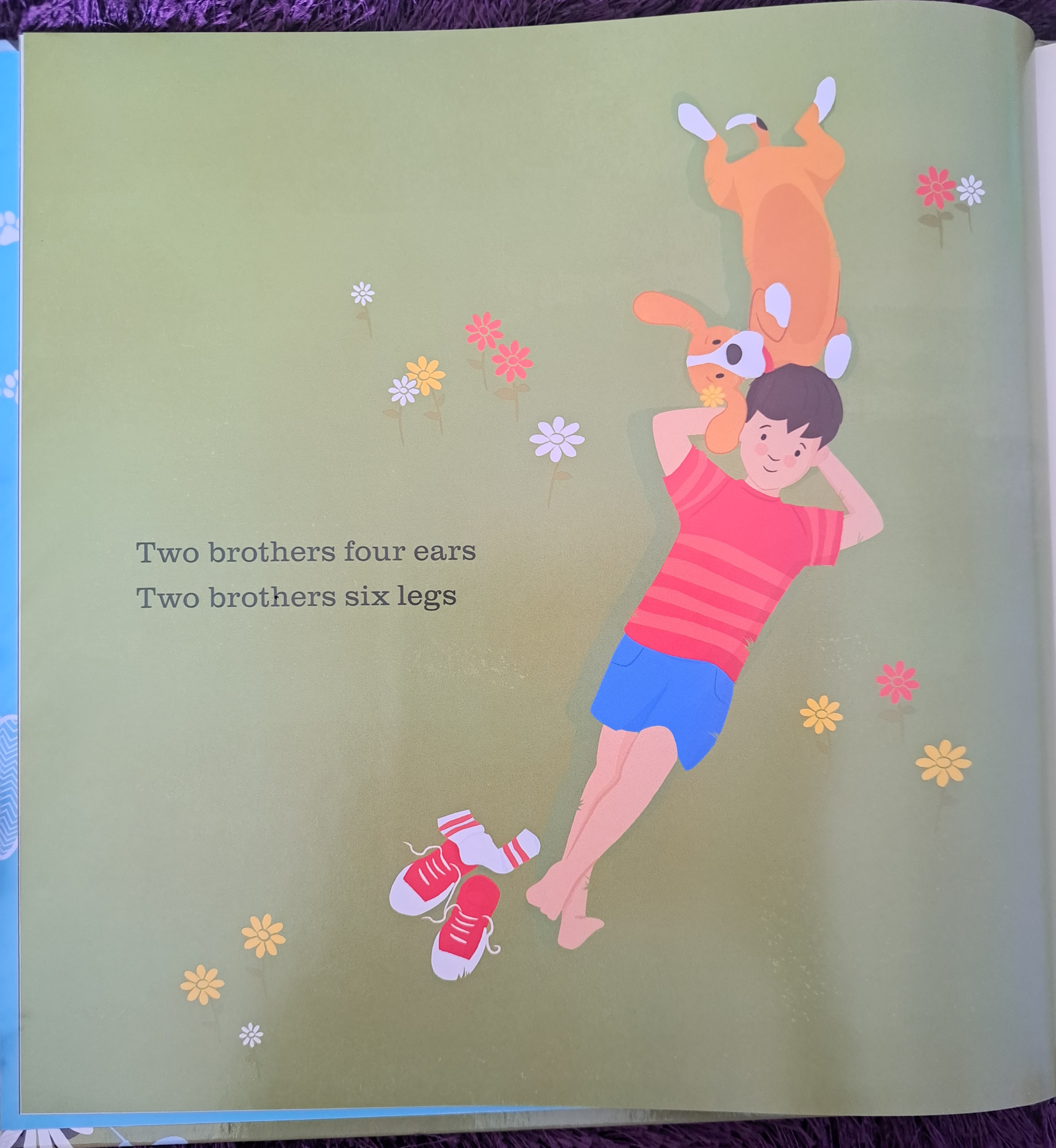 Two Brothers, One Tail