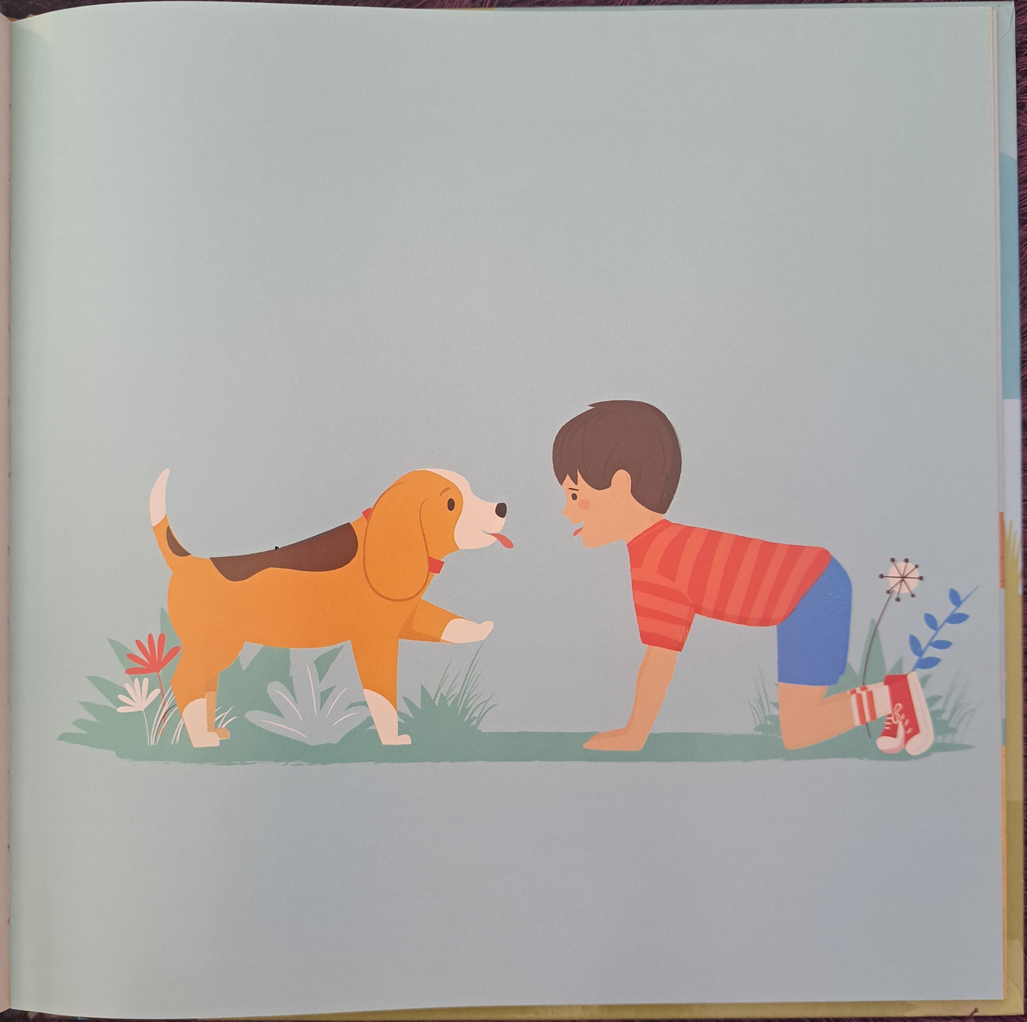 Two Brothers, One Tail