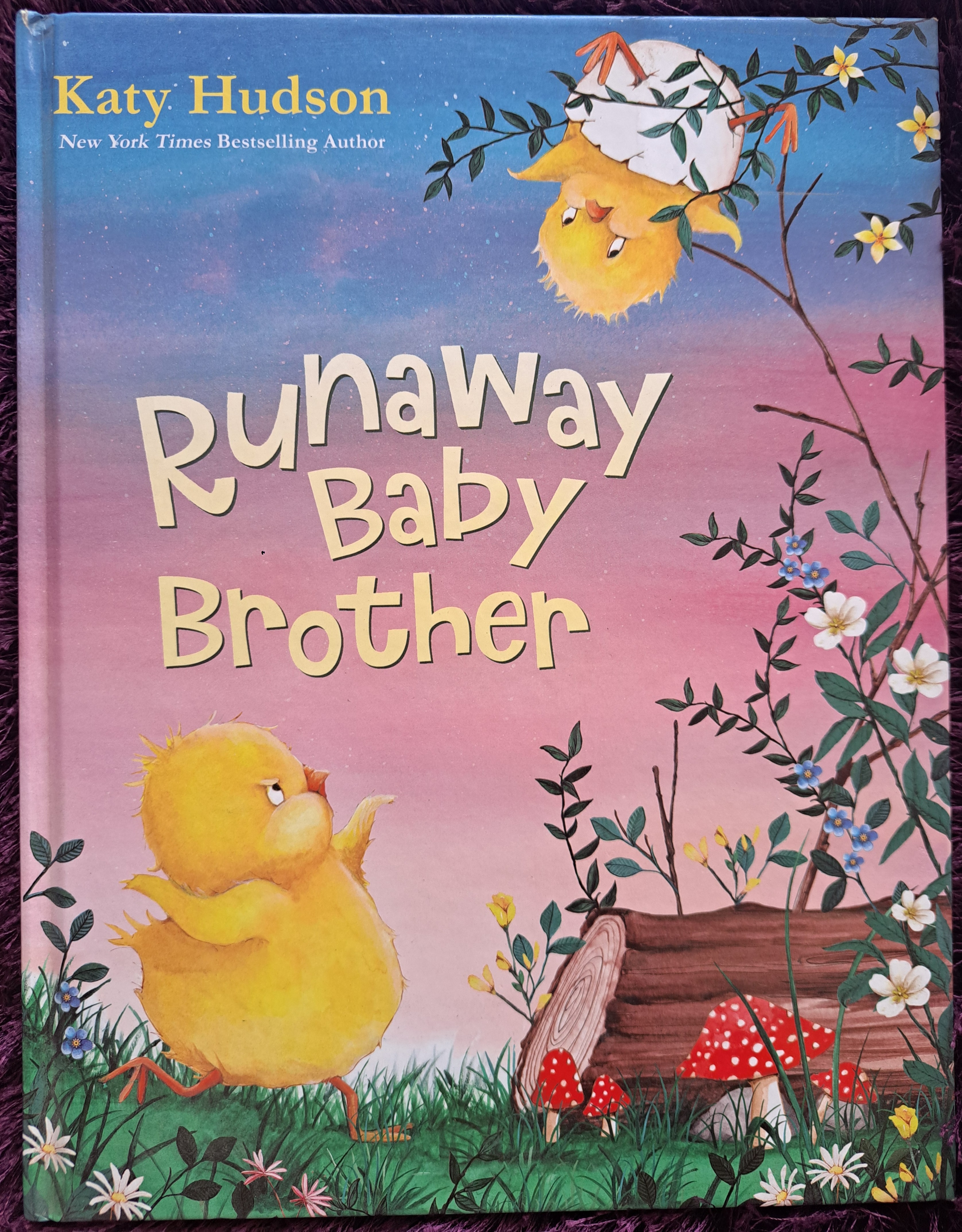 Runaway Baby Brother