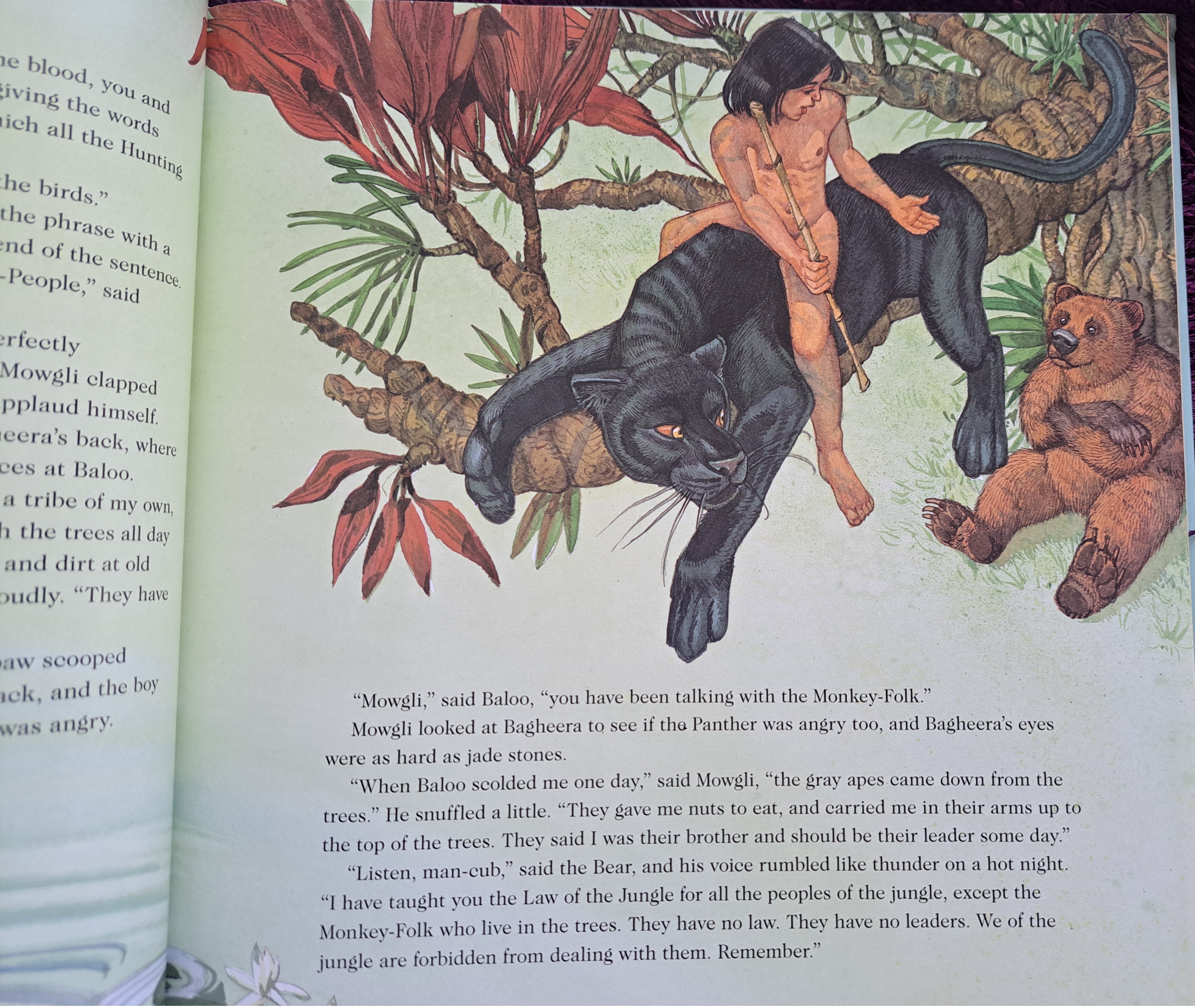 The Jungle Book