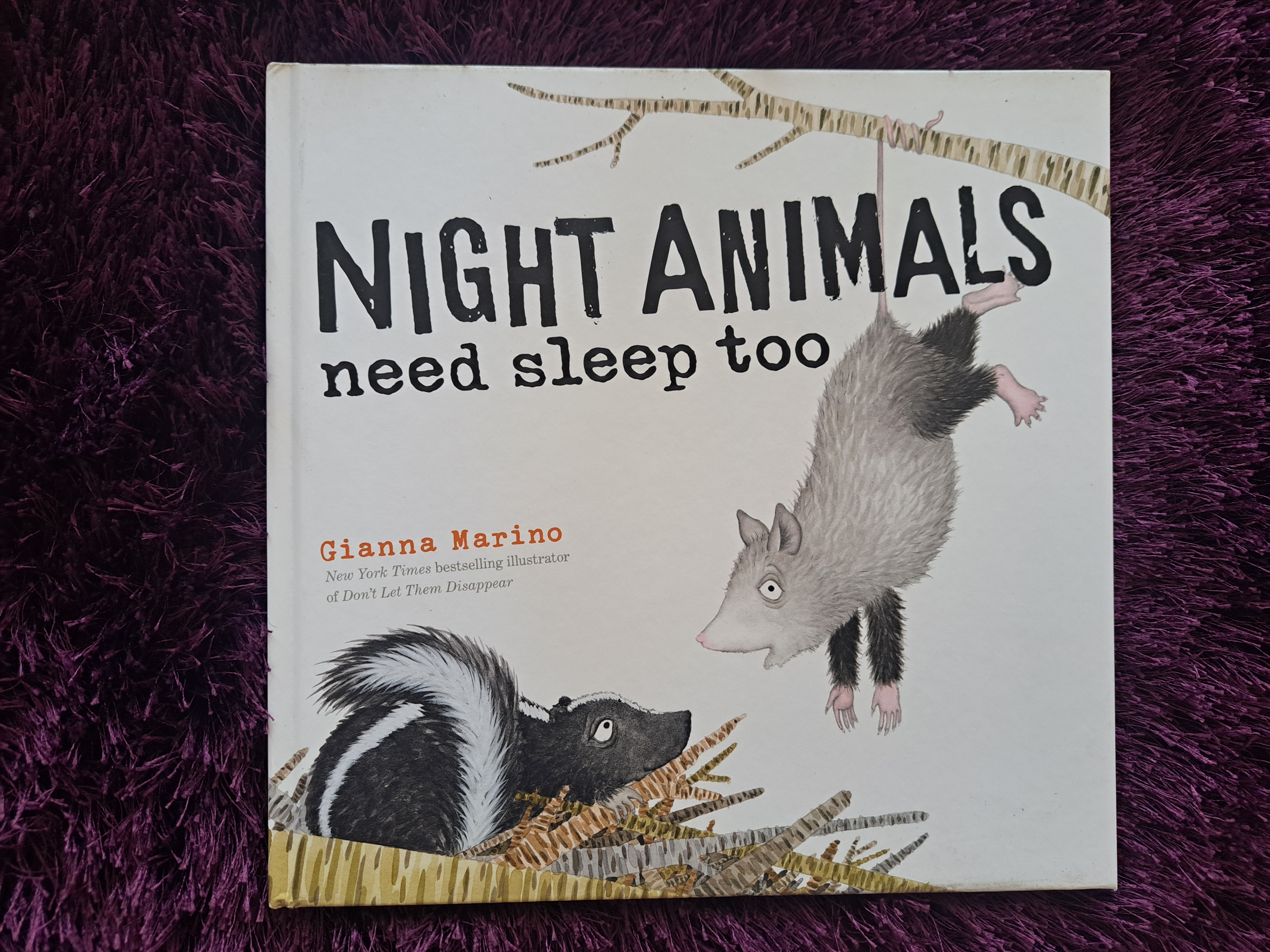 Night Animals Need Sleep Too