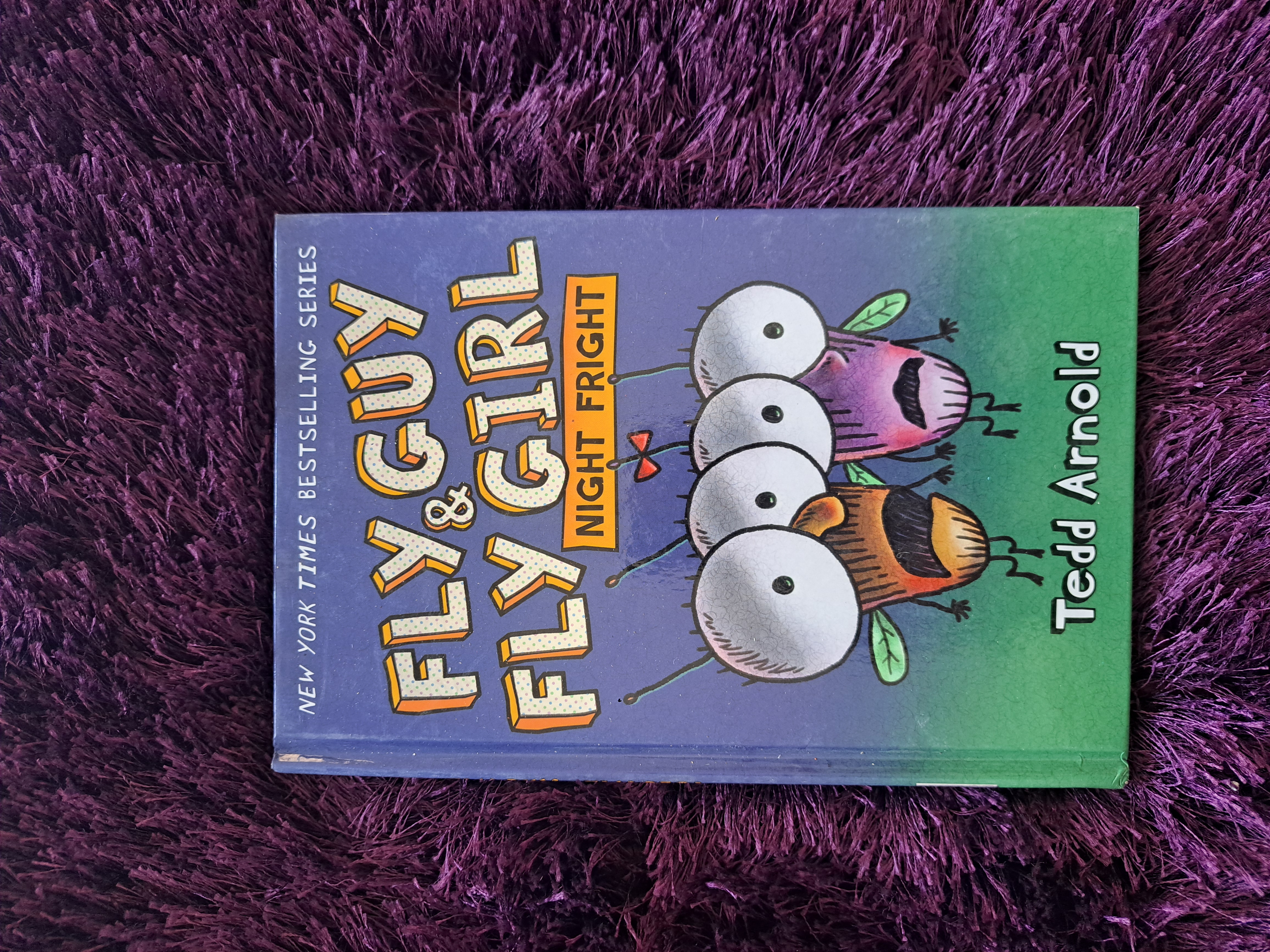 Fly Guy & Fly Girl: Night Fright