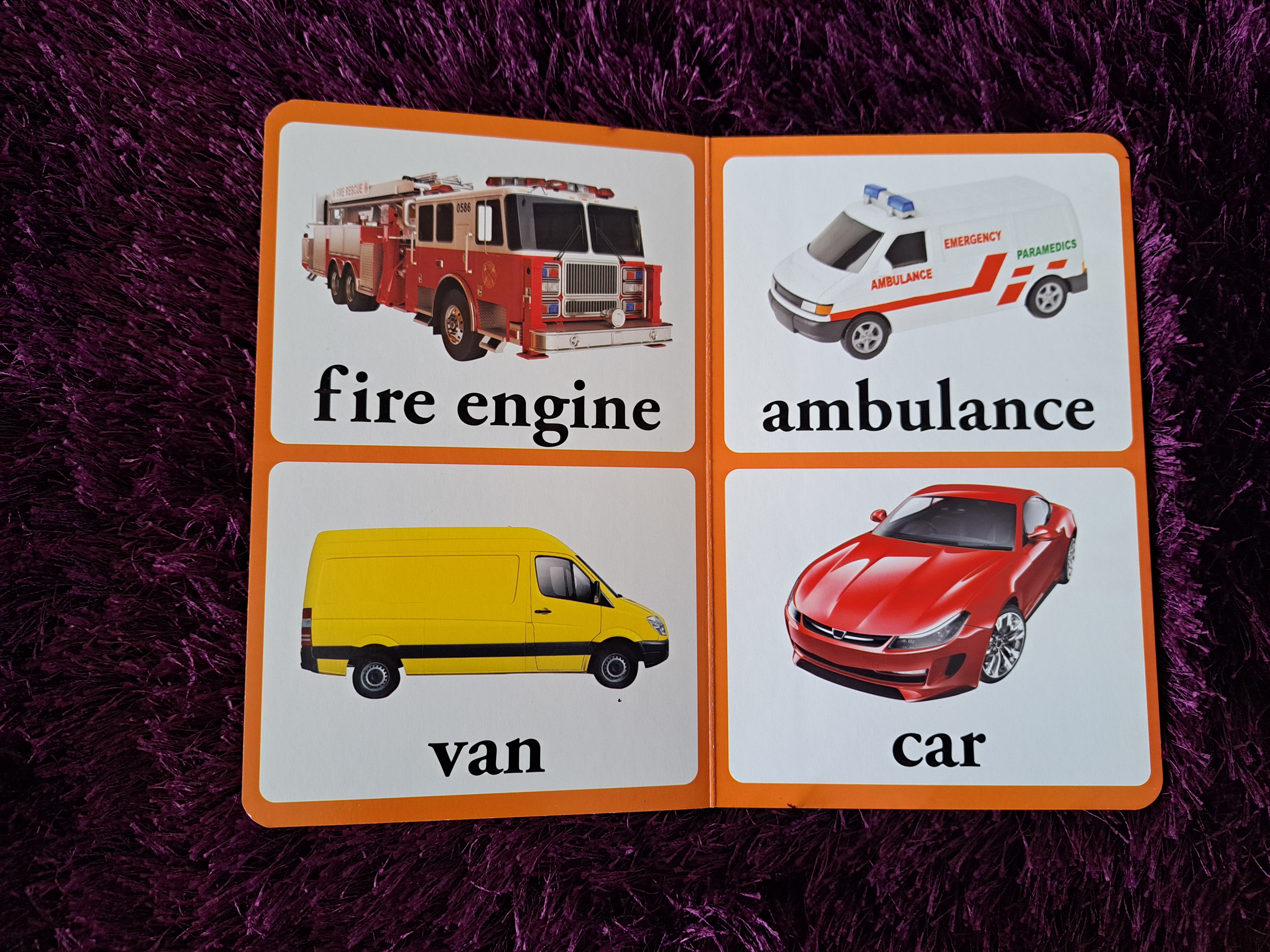 Transport Wonder House