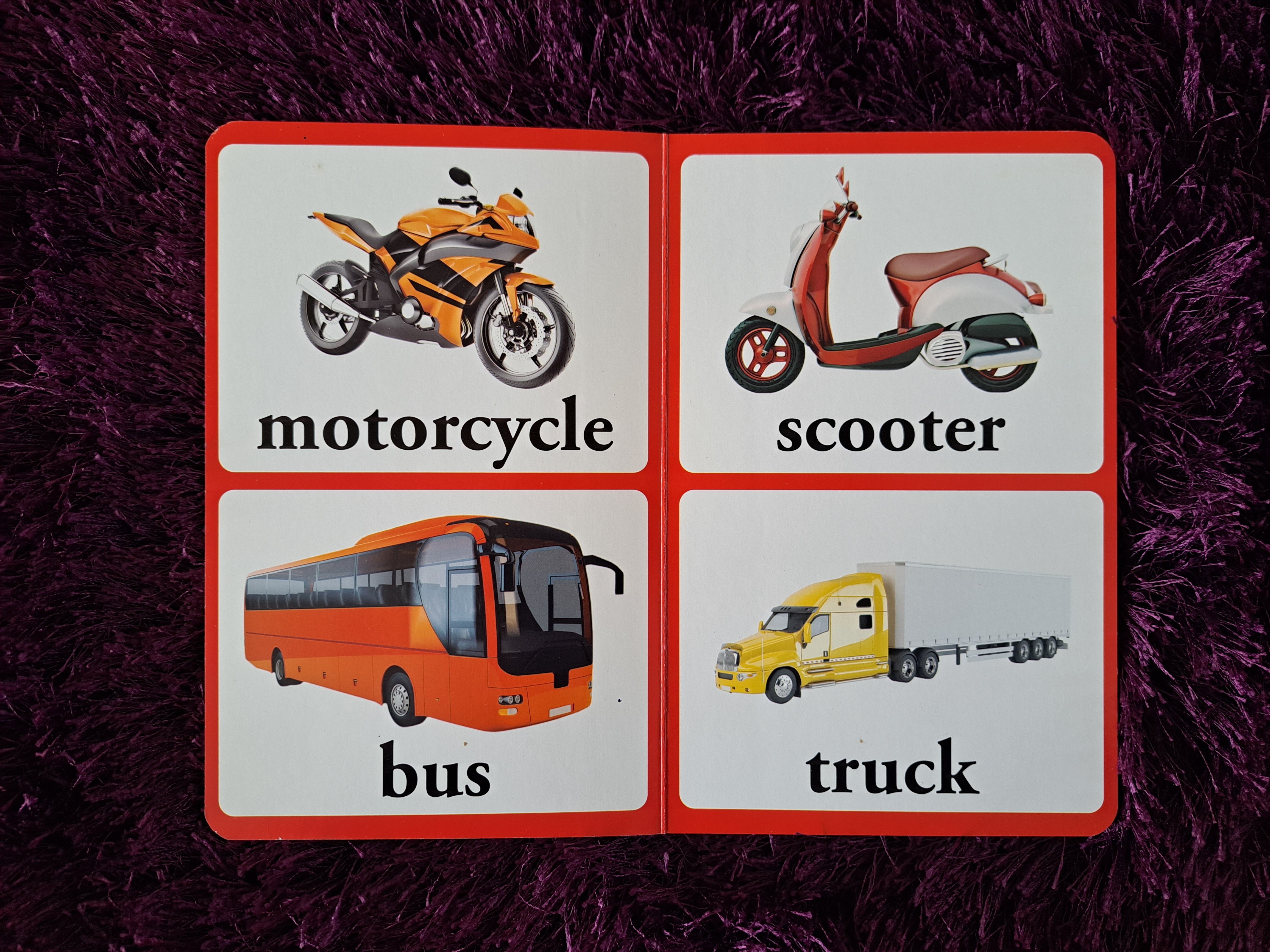 Transport Wonder House