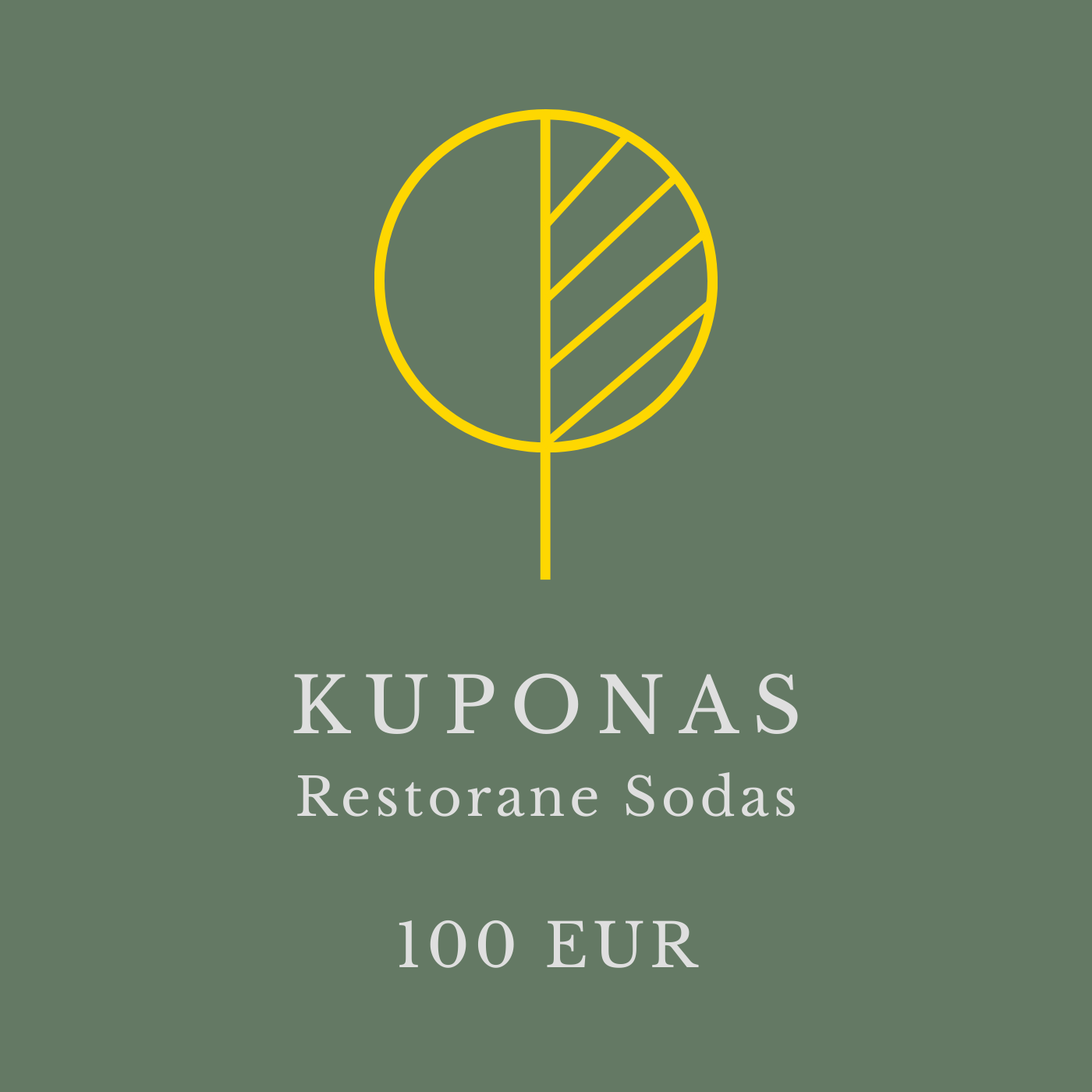 Dovanų kuponas - 100 eur