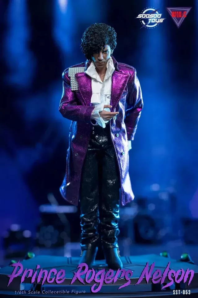 Soosootoys SST-053 1/6 The Artist Prince 12" Action Figure toys hot