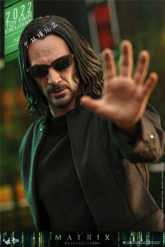 Hot Toys 1/6 MMS657 The Matrix Neo Collectibles Action Figure