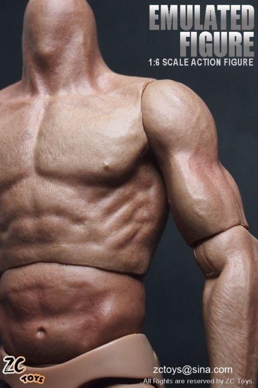 ZC Toy 1/6 Scale Muscular Nude Figure body TTM19 fit Wolverine Head Collection