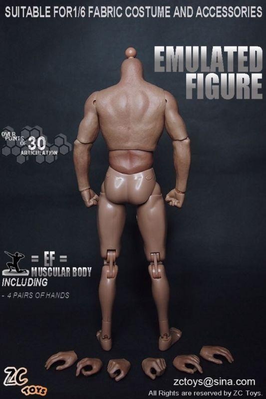 ZC Toy 1/6 Scale Muscular Nude Figure body TTM19 fit Wolverine Head Collection