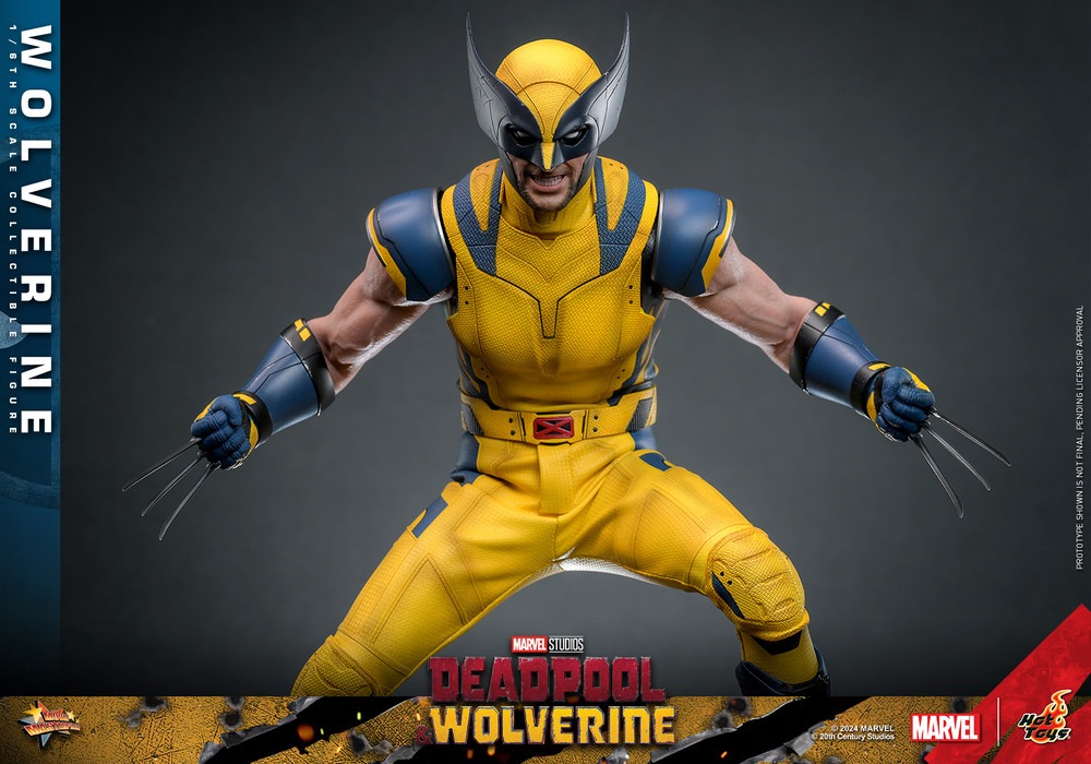 In Stock! Hot Toys MMS753 1/6 Wolverine Collectible Figure Deadpool & Wolverine