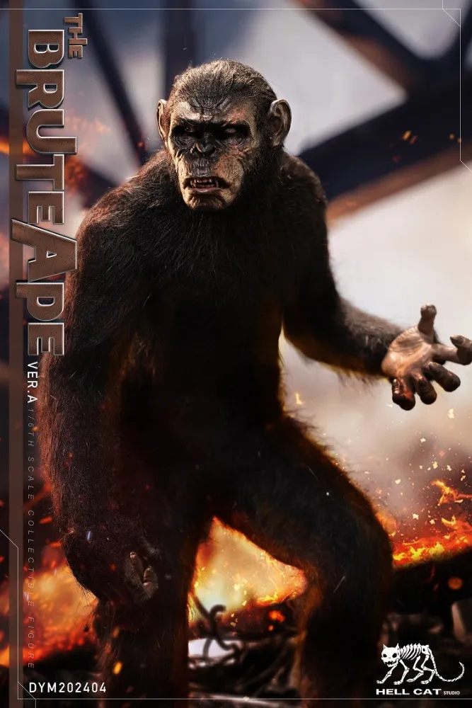In stock! Hell Cat 1/6 Ape Leader Figure DYM202404 Koba 