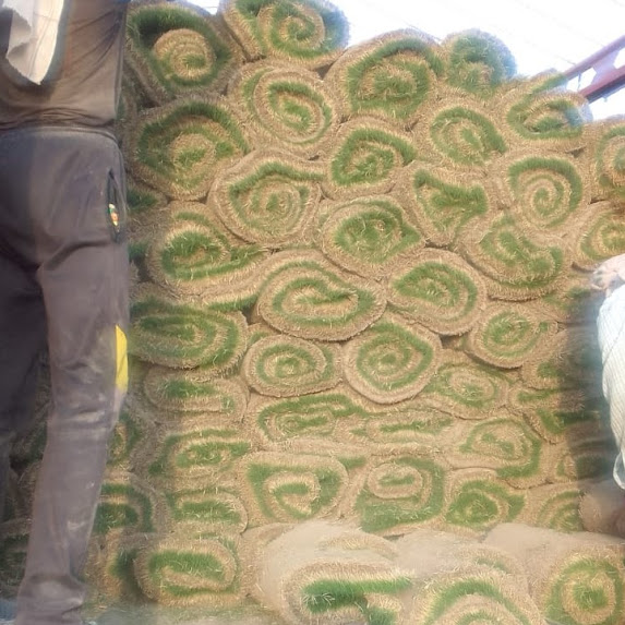 Lawn Grass carpet 