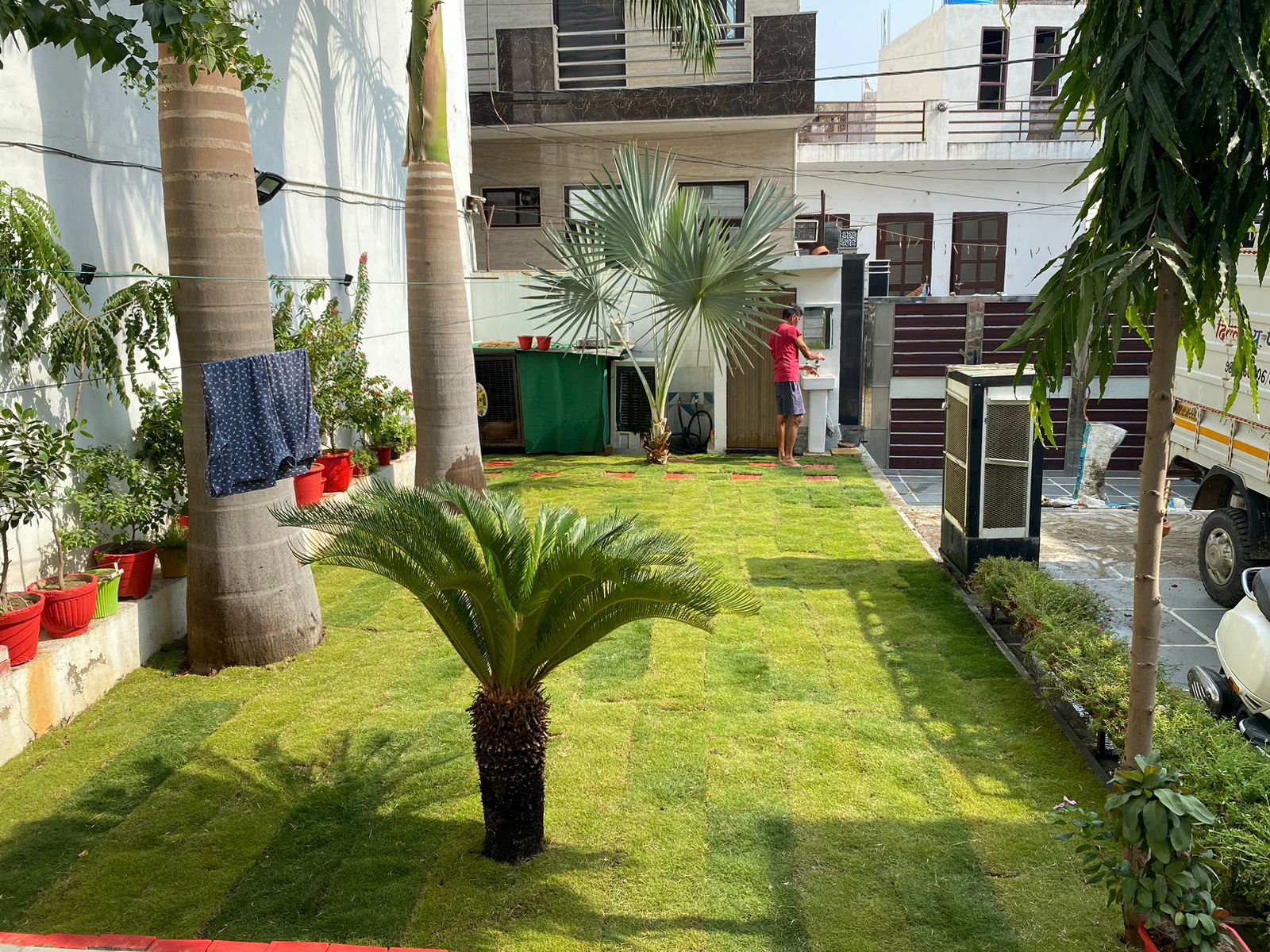 Natural Lawn Grass Supplier in Delhi
