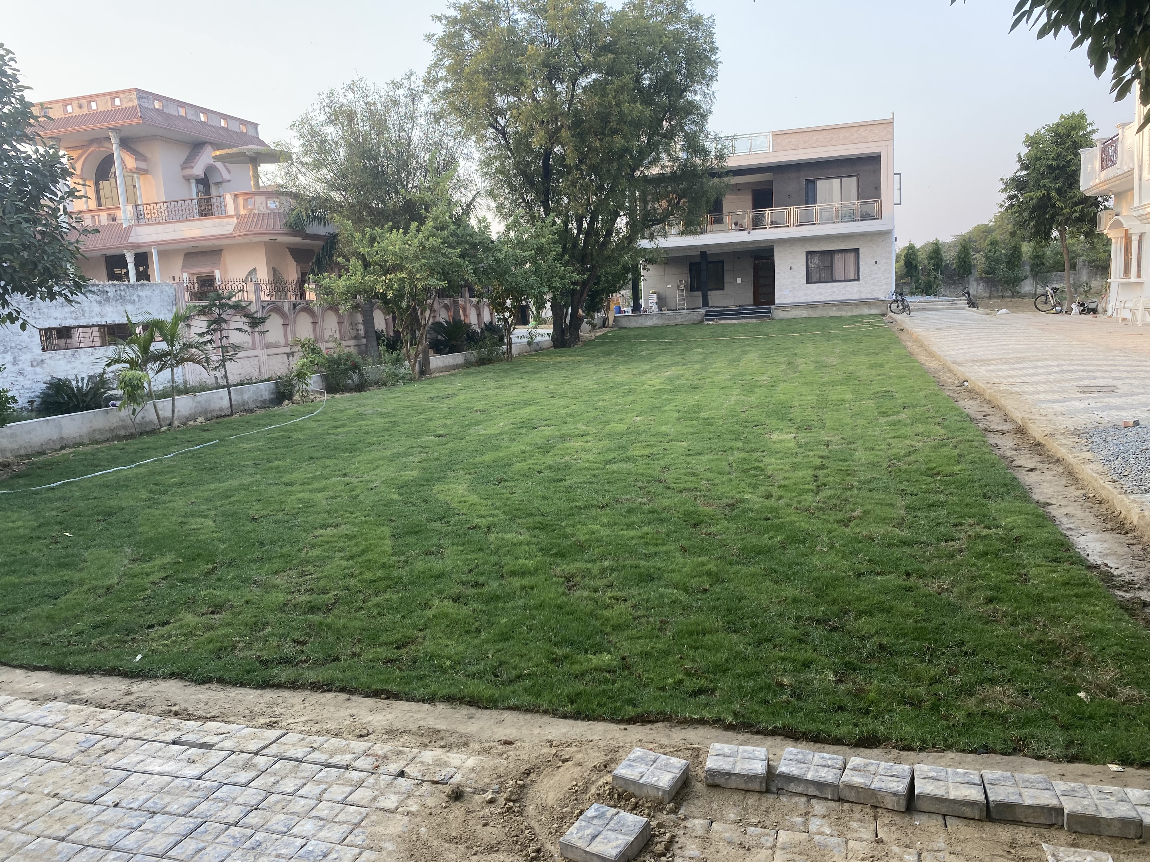 Natural Grass For Garden