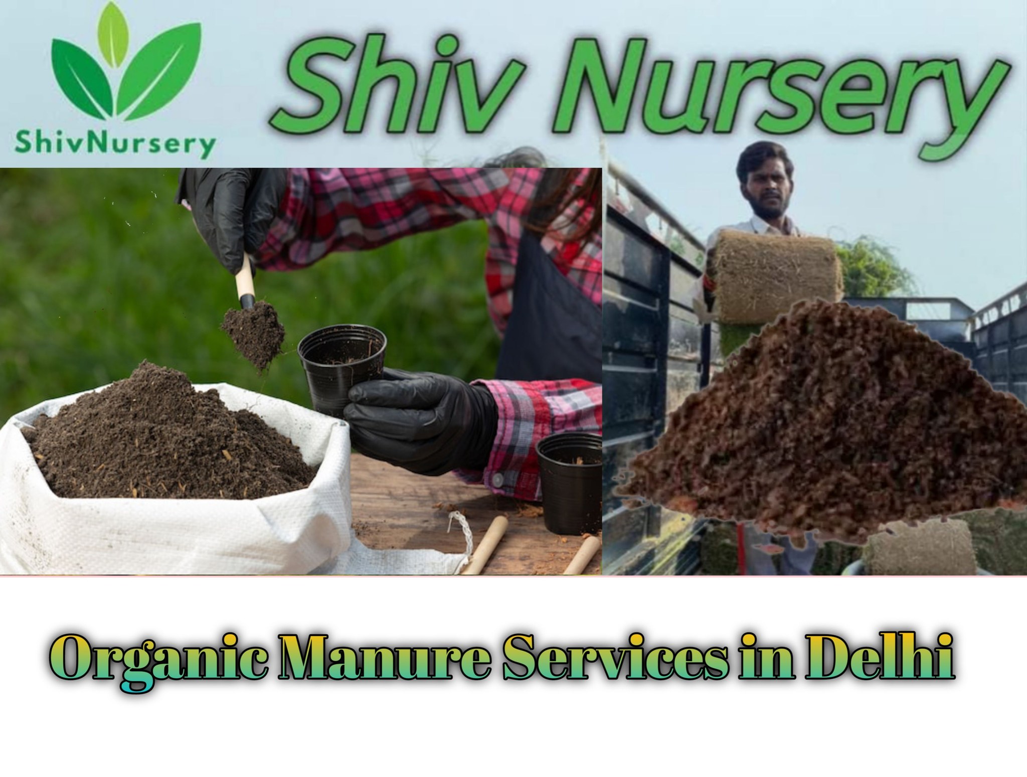 Organic Manure