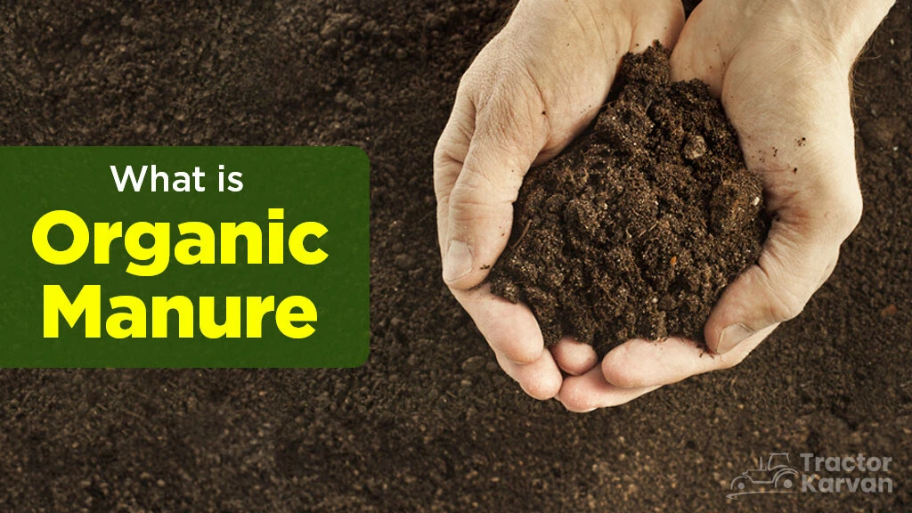 Organic Manure