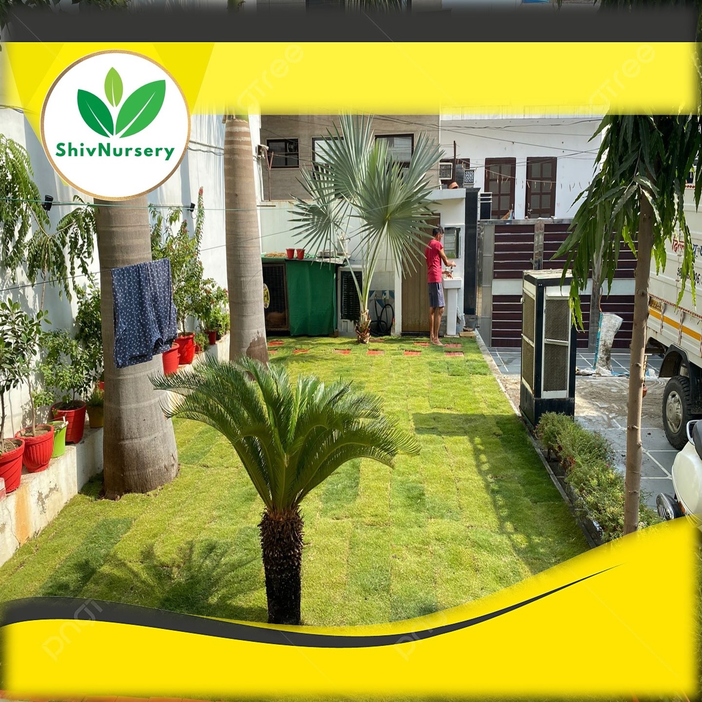 Natural Lawn Grass in South Extension Delhi from Best Wholesale Supplier at lowest Price