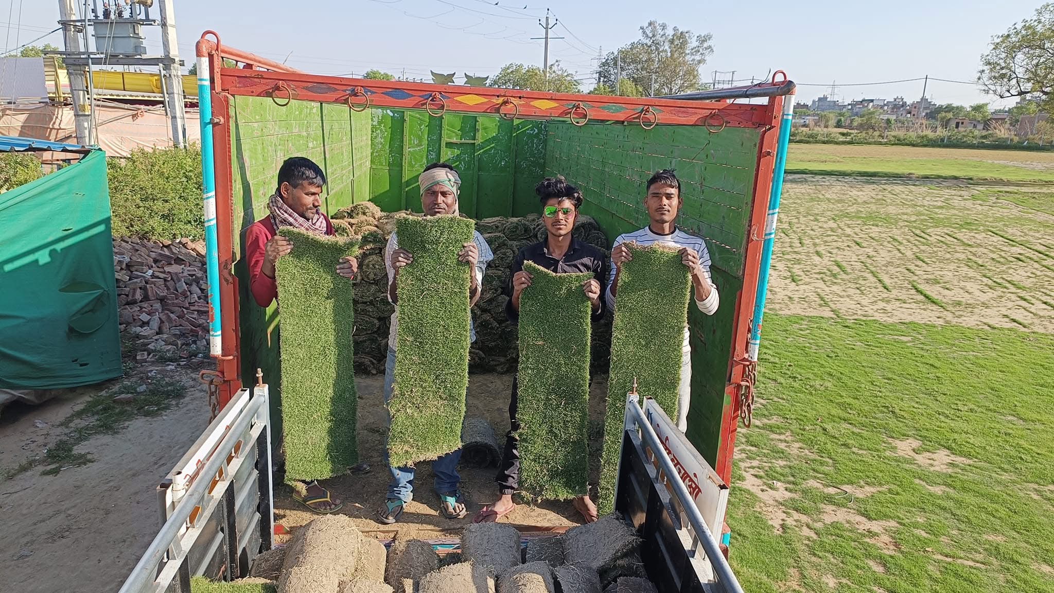 natural lawn grass Udaipur