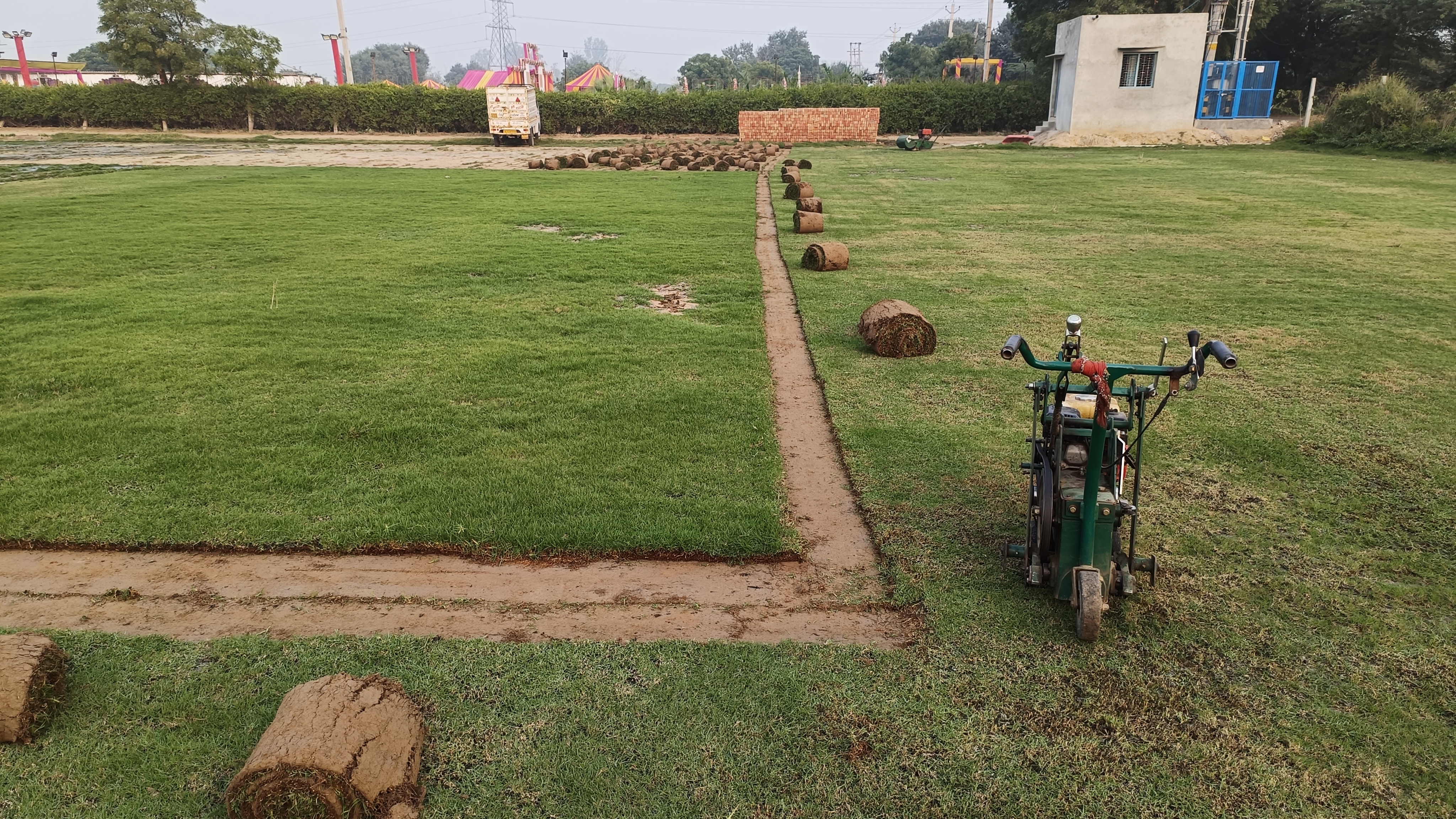 Natural grass nursery in Delhi NCR