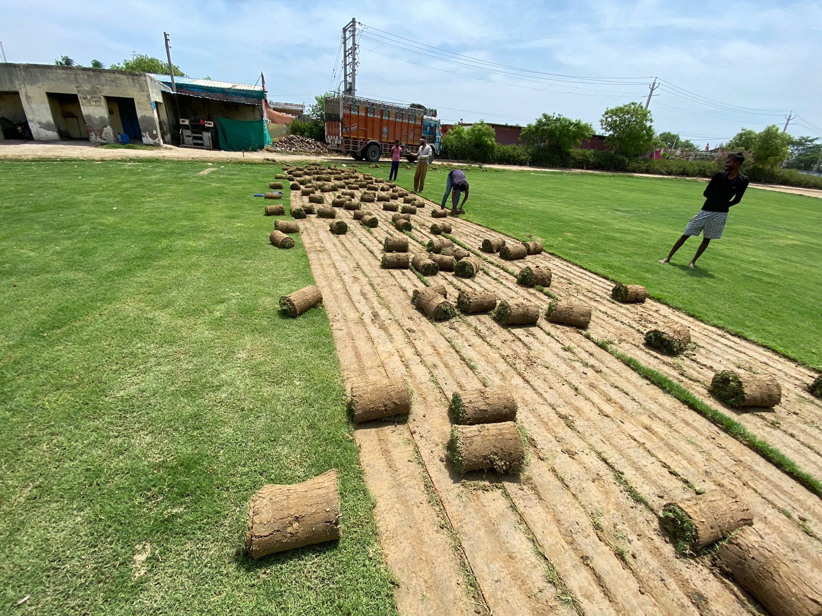 Eco-Friendly Turf Natural Lawn Grass for Home & Garden