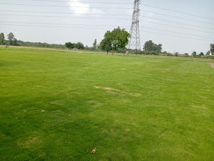 Natural Lawn Grass in Burari, Delhi | Wholesale Natural Lawn Grass | Lawn Grass Carpet | Natural Lawn Grass | Natural Lawn Grass Supplier | Natural Grass in Bulk | Natural Lawn Grass Wholesale Price