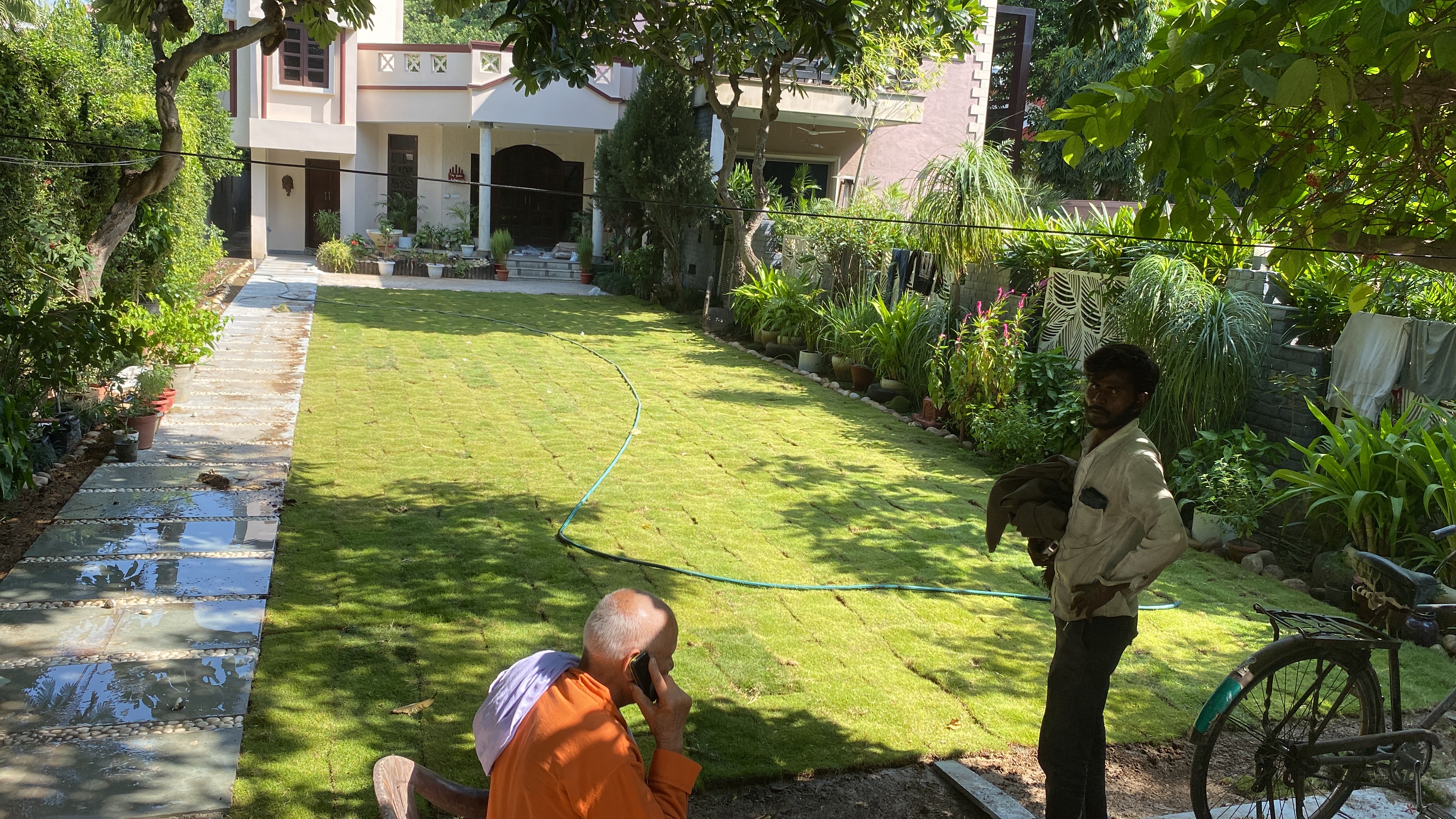 Natural Lawn Grass in Noida Cantonment
