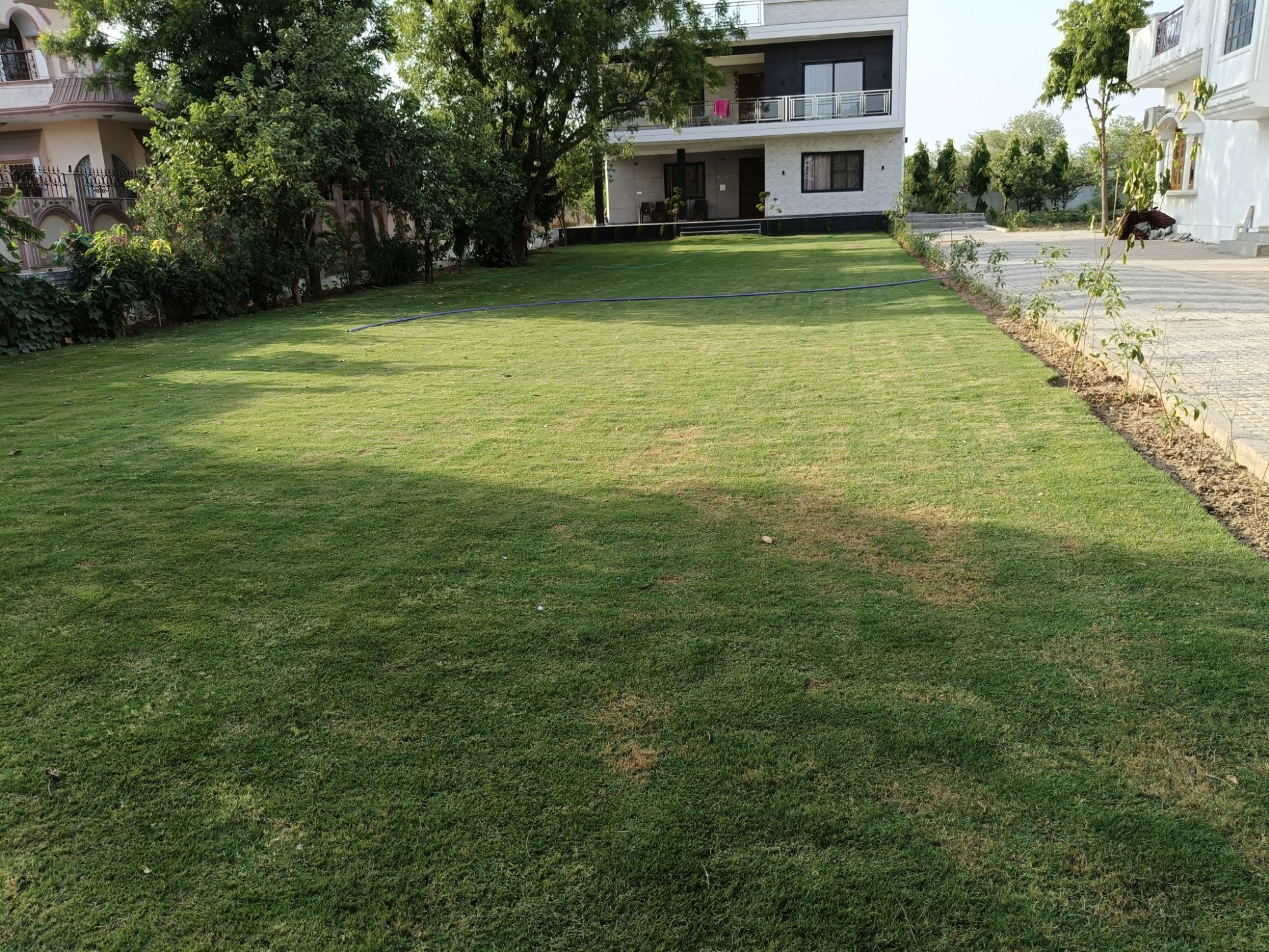 Golf Course Turf | Natural Lawn Grass for Home & Garden