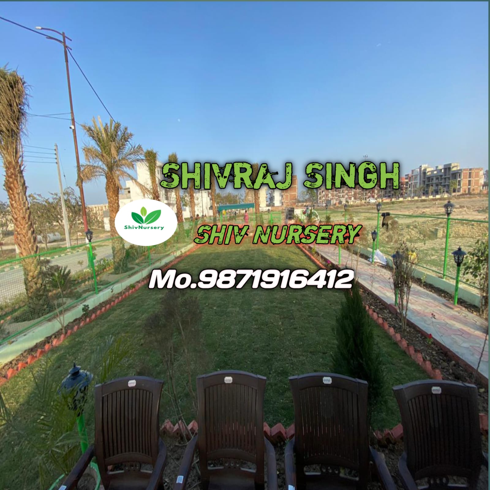Natural Lawn Grass in Rajouri Garden Delhi