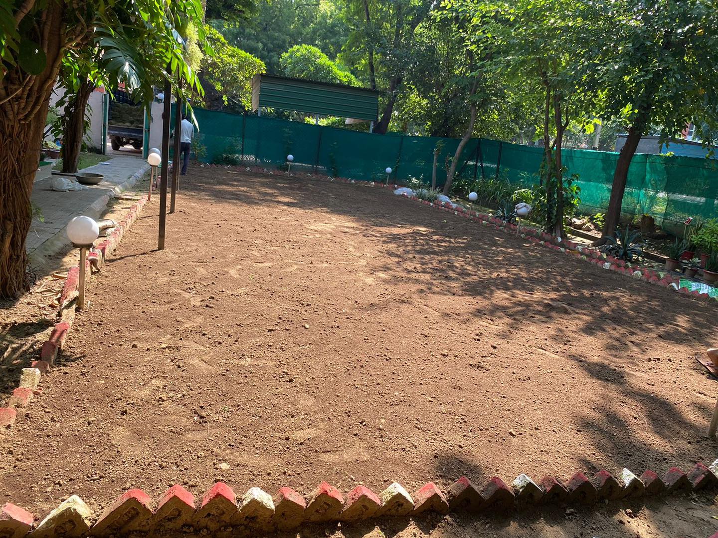 Natural Lawn Grass in Wellington Cantonment