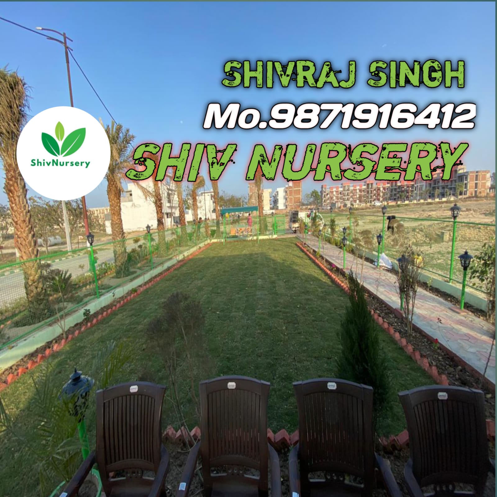Natural Grass Noida