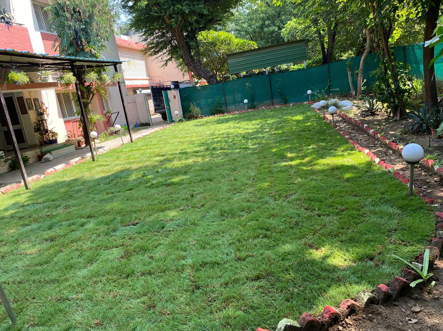 Natural Lawn Grass in Wellington Cantonment