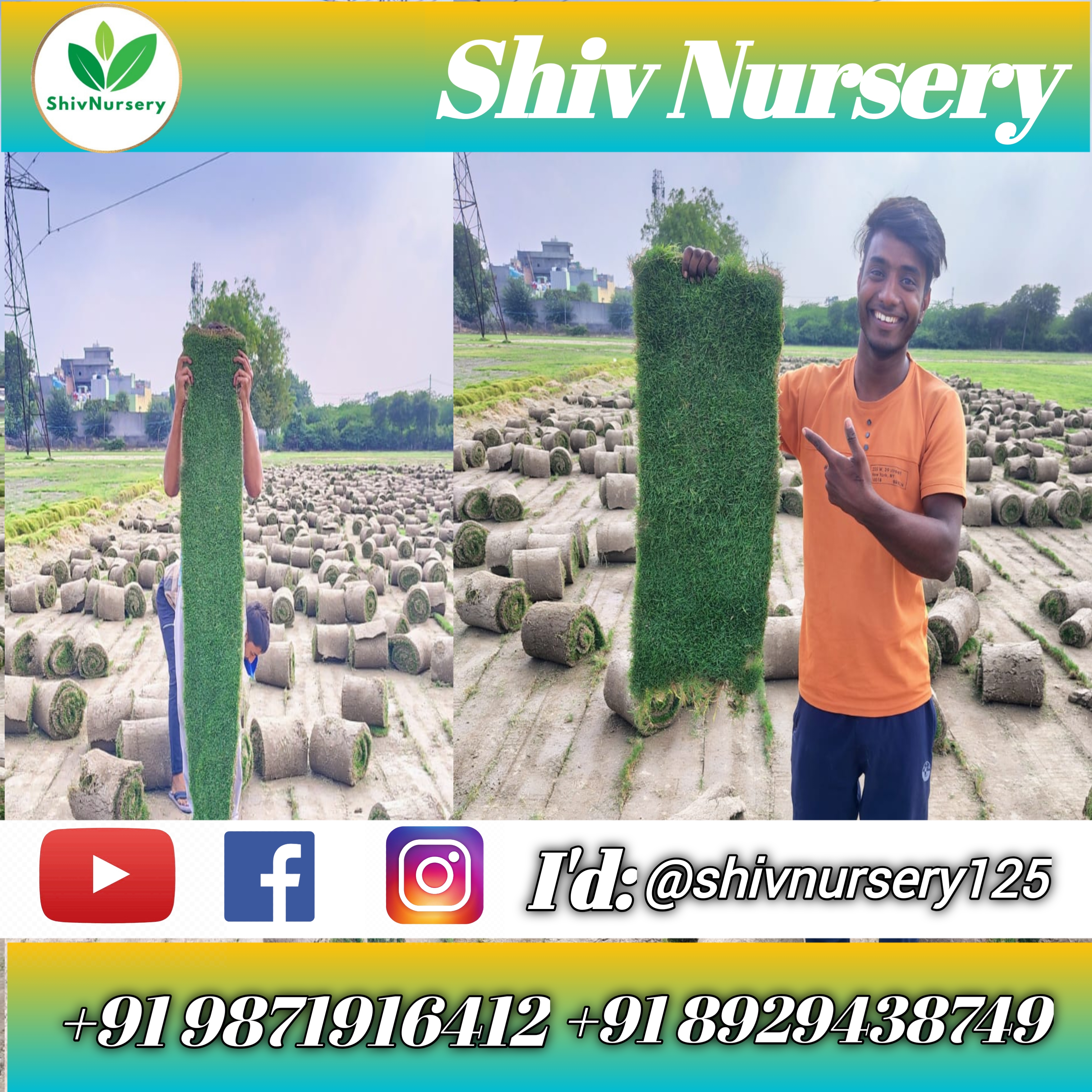 Custom Lawn Rolls Natural Lawn Grass for Home & Garden